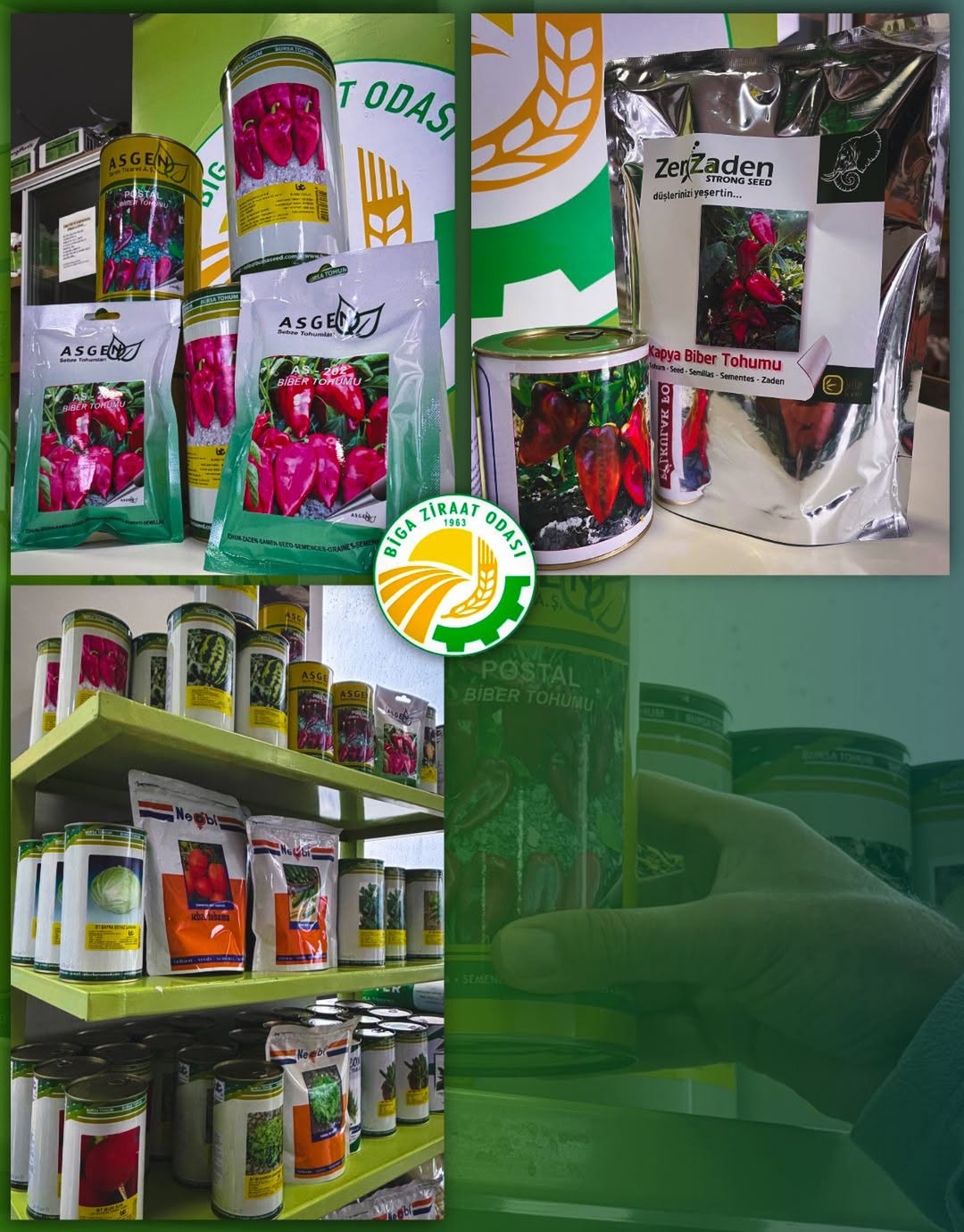 I M G 20260212 W A0023