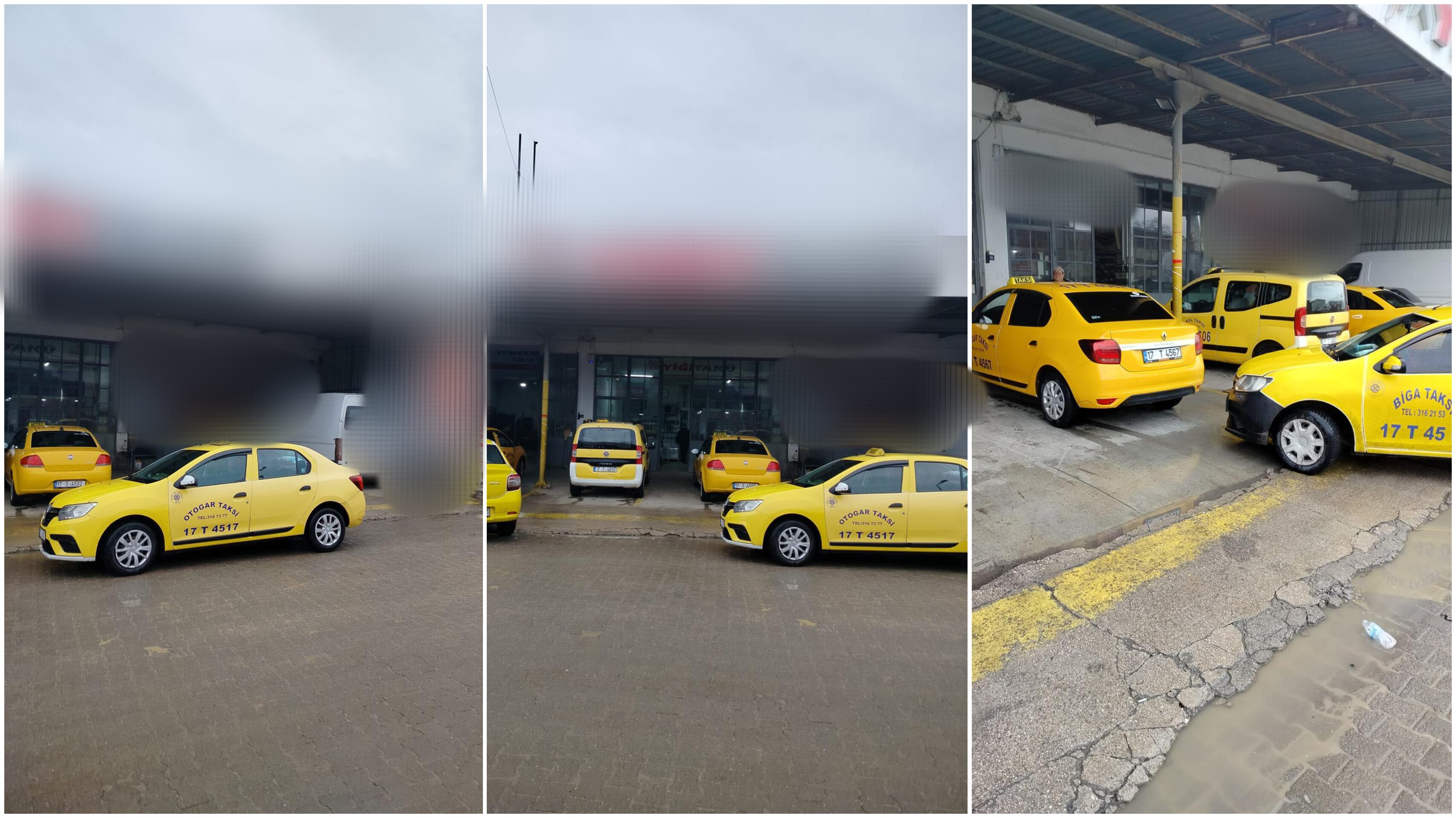 I M G 20260213 113519