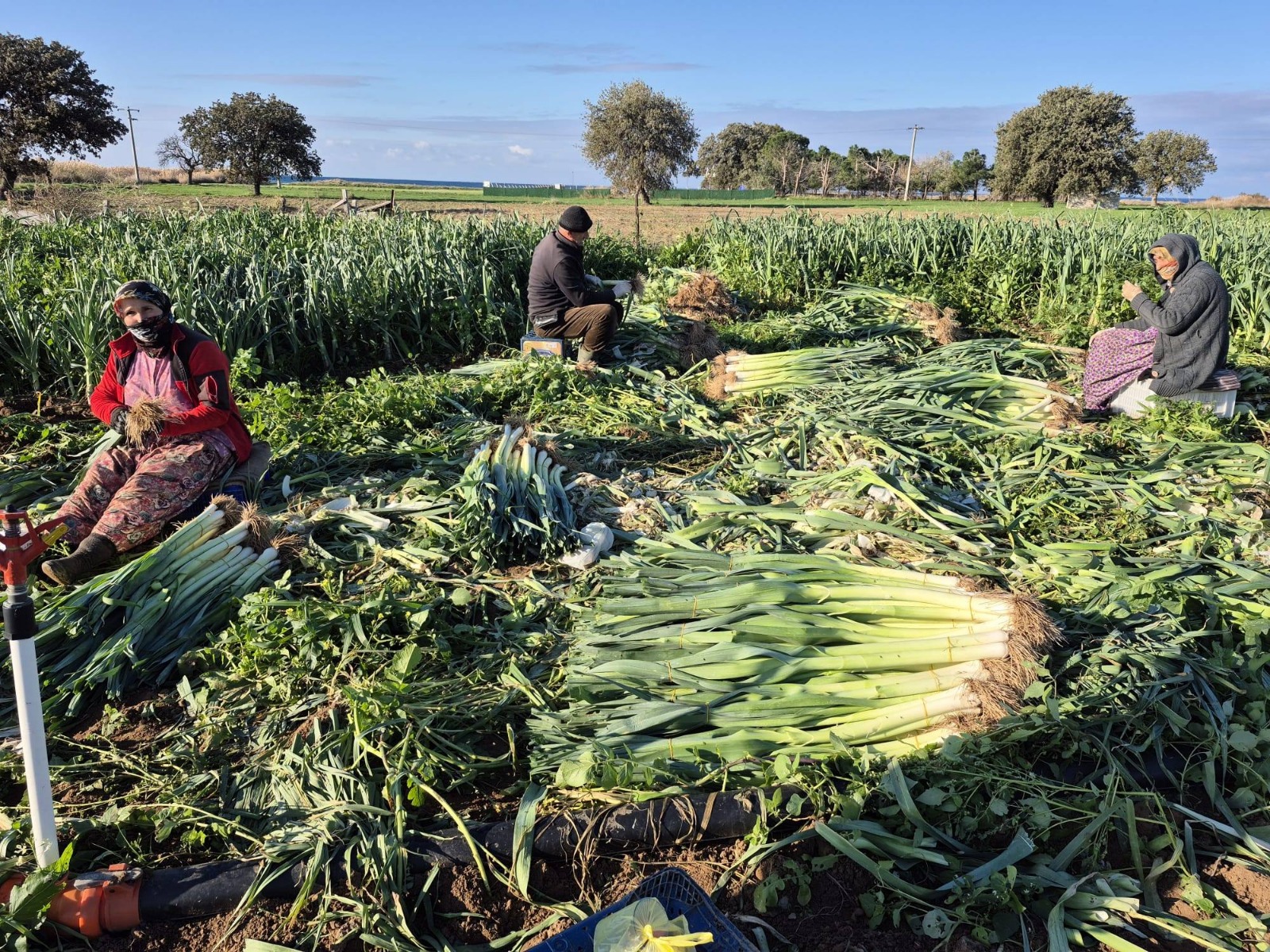 I M G 20260213 W A0056