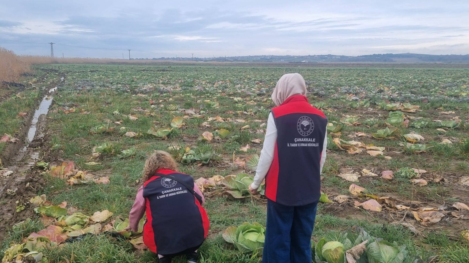 I M G 20260213 W A0057