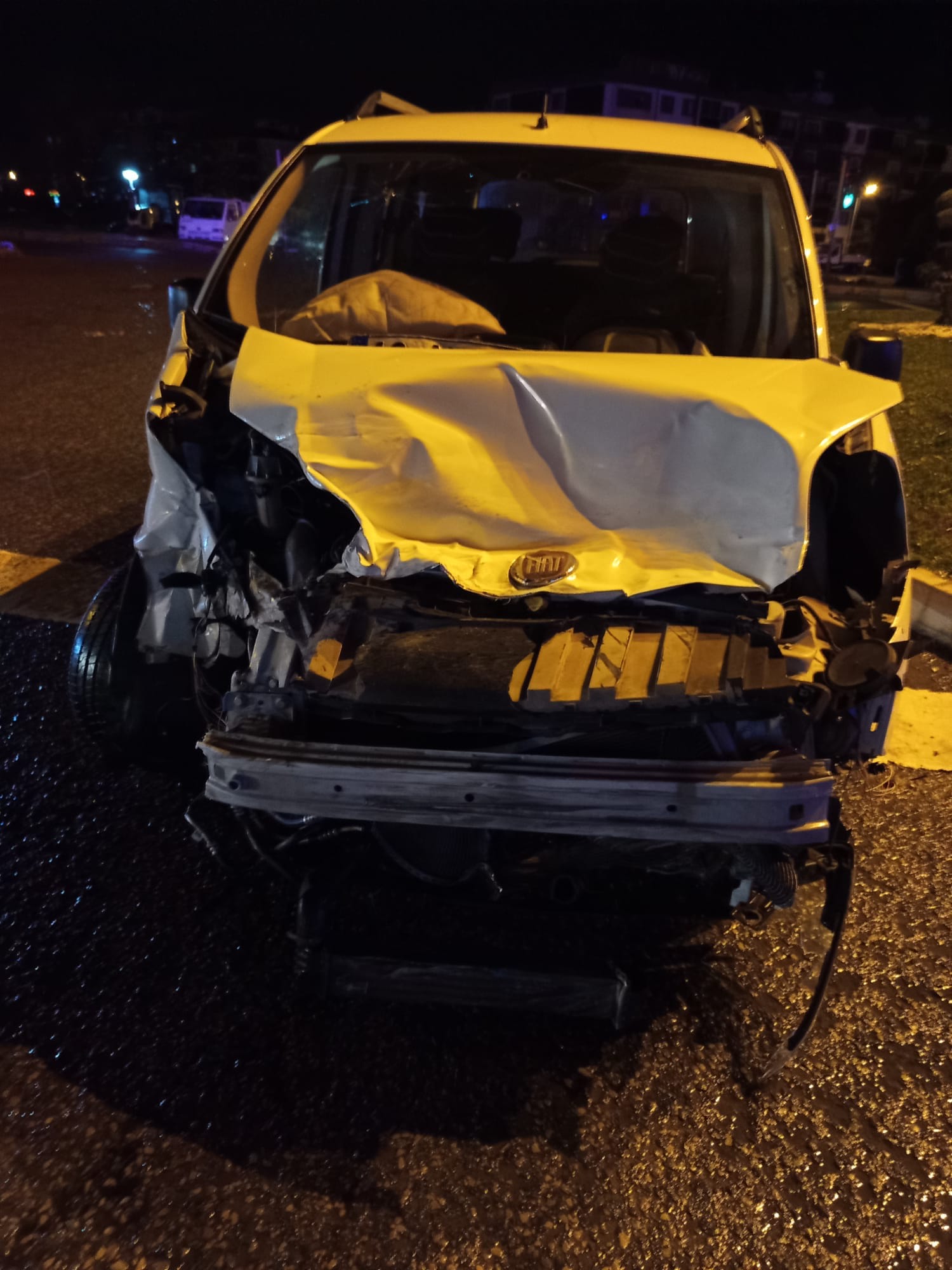 I M G 20260215 W A0044