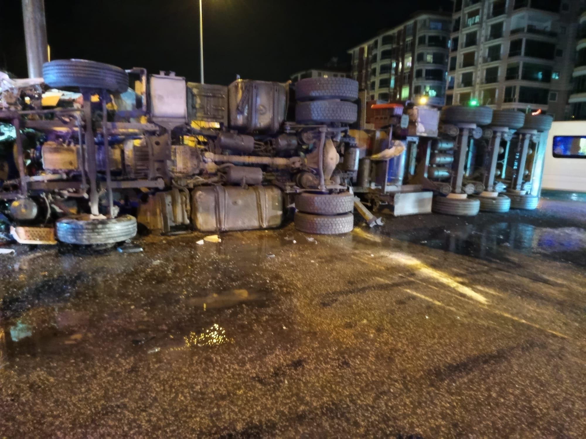 I M G 20260215 W A0045