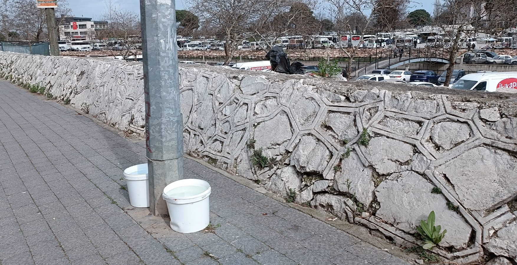 I M G 20260216 150226