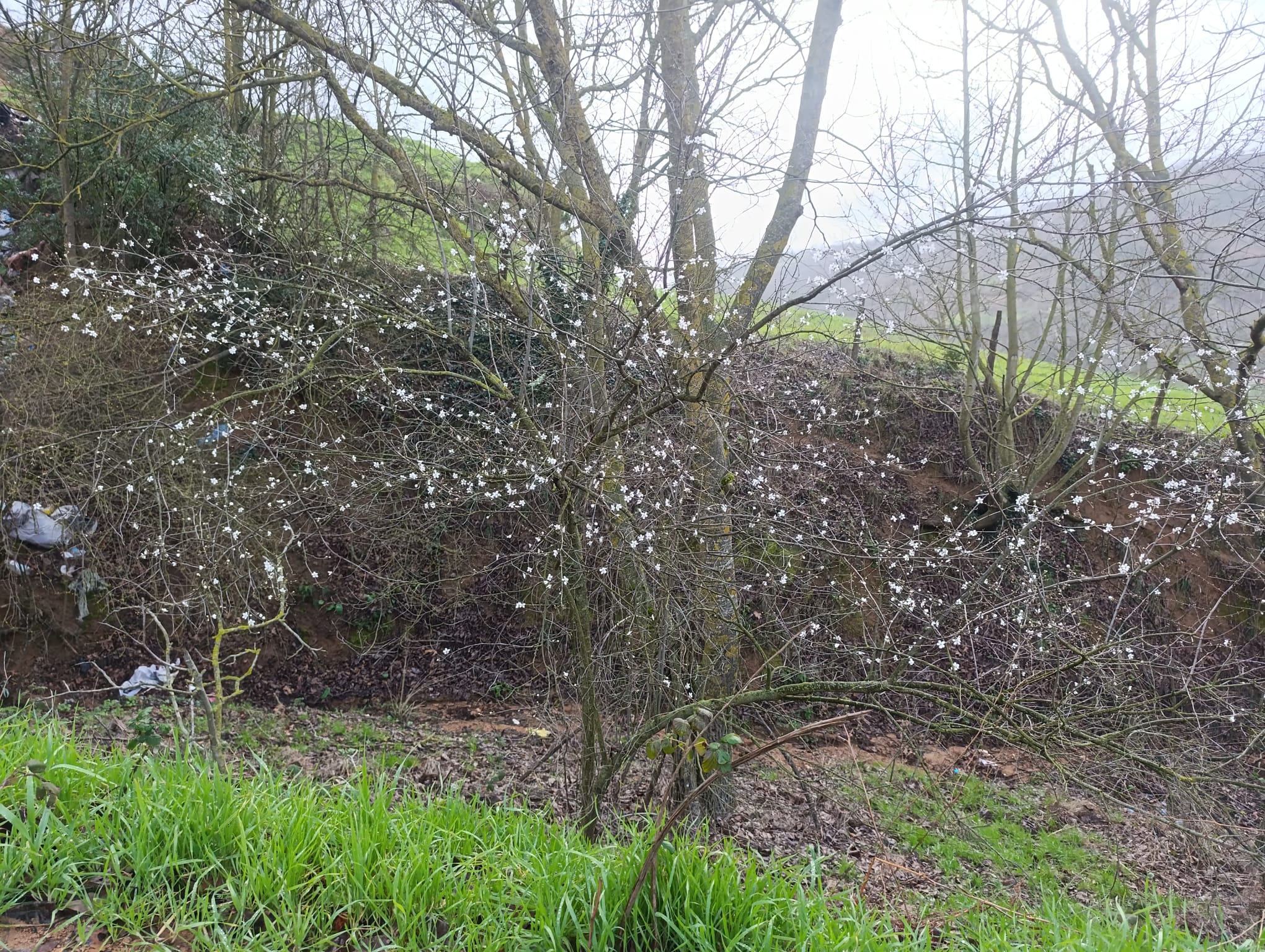 I M G 20260216 W A0133