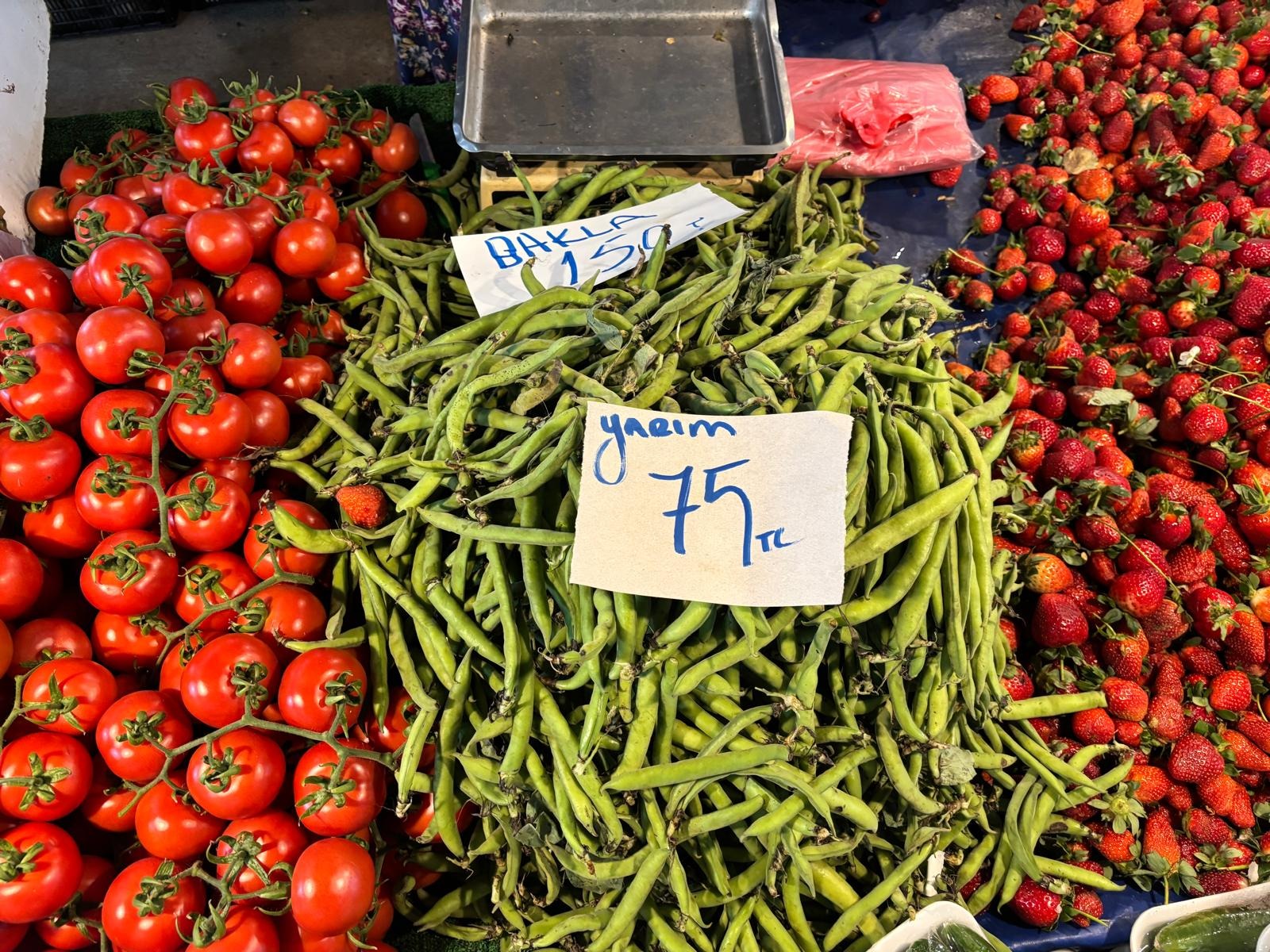 I M G 20260218 W A0136(1)