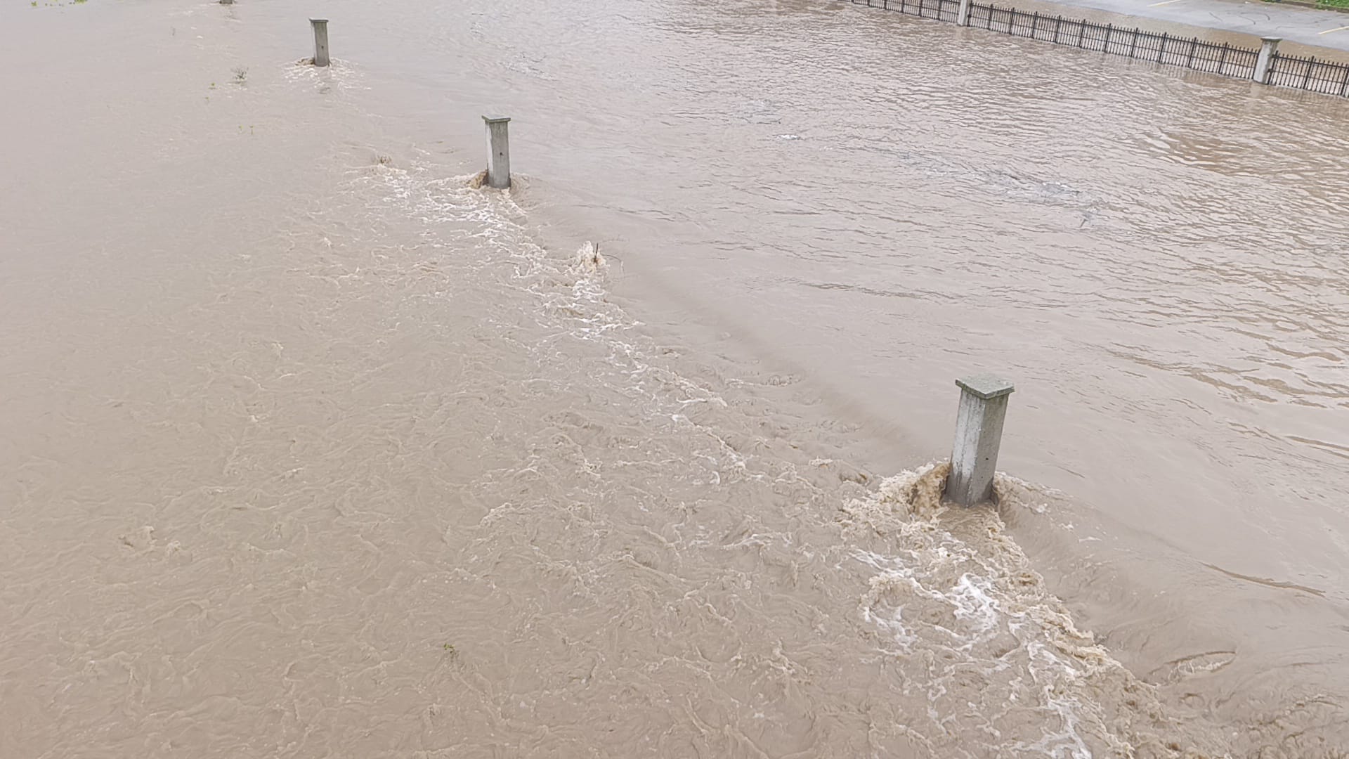 I M G 20260218 W A0191