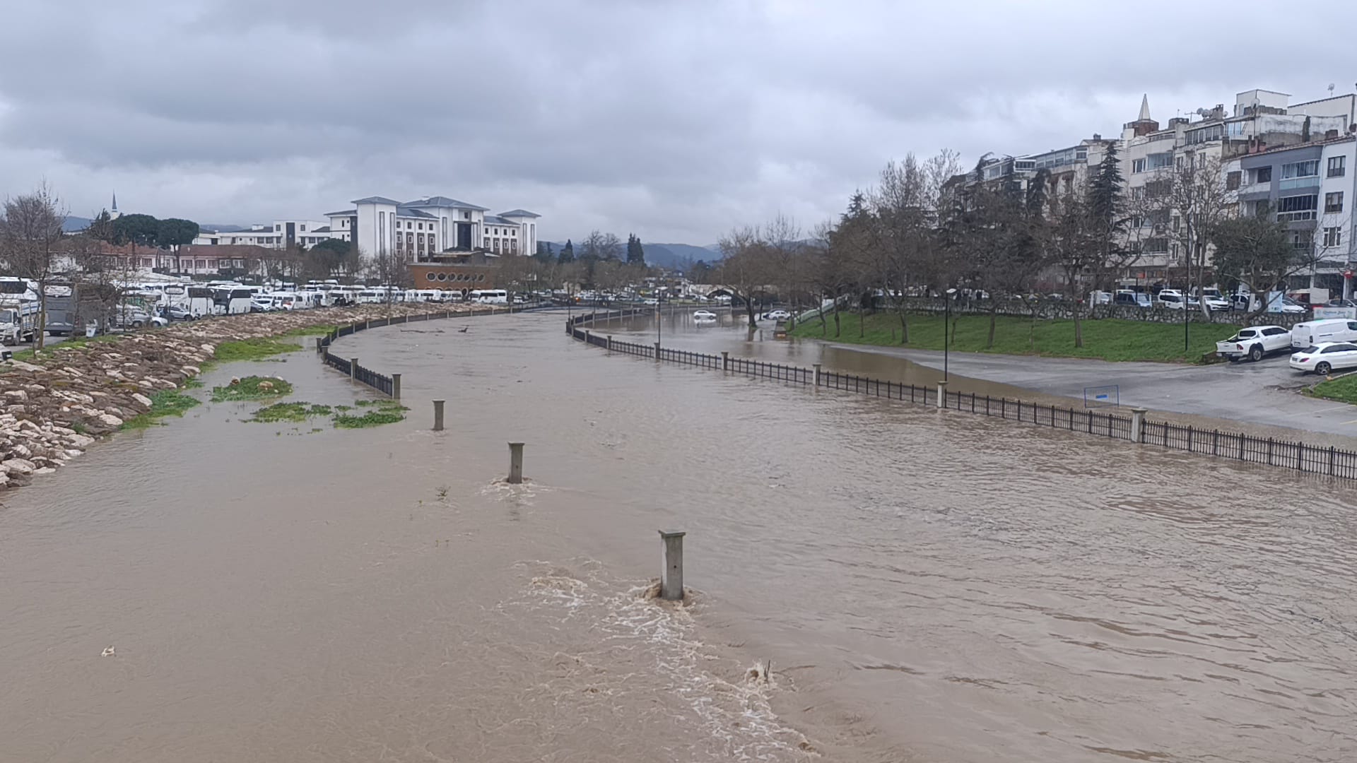 I M G 20260218 W A0192