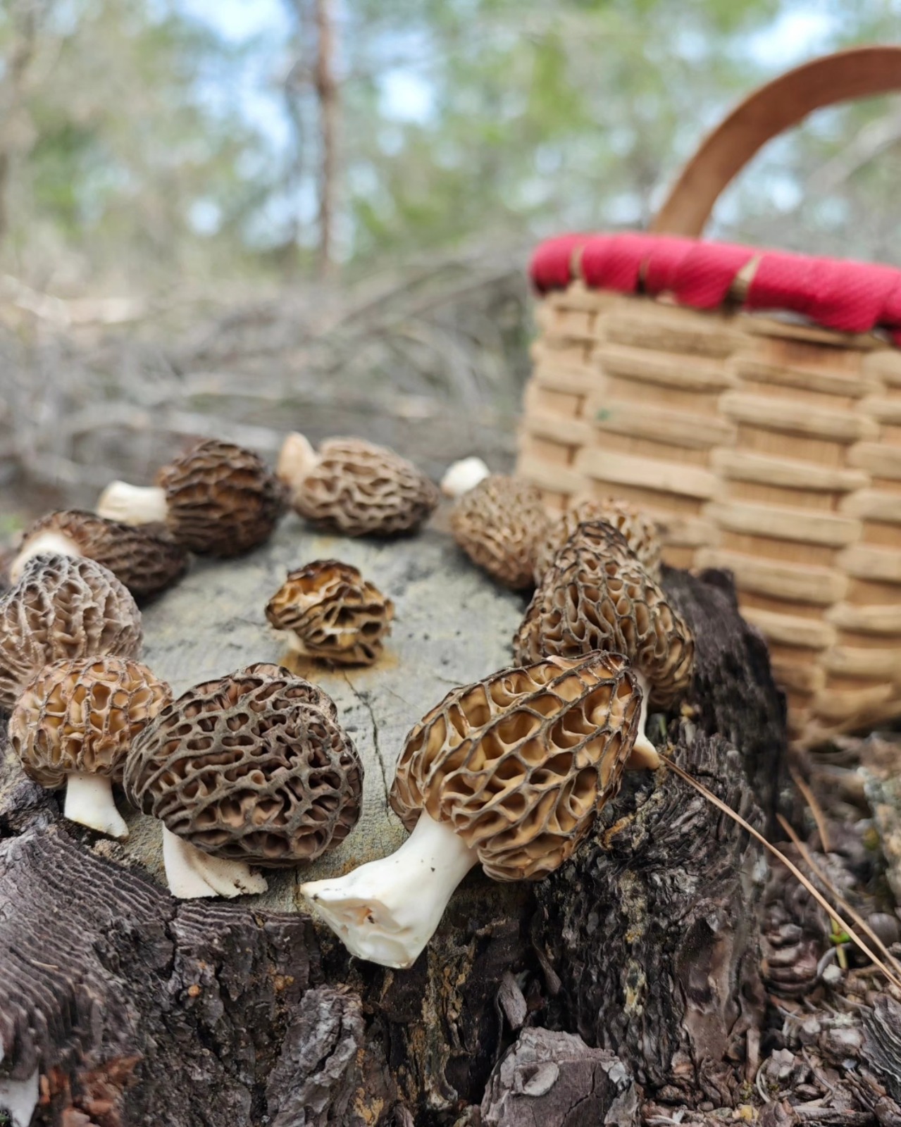 I M G 20260219 W A0065