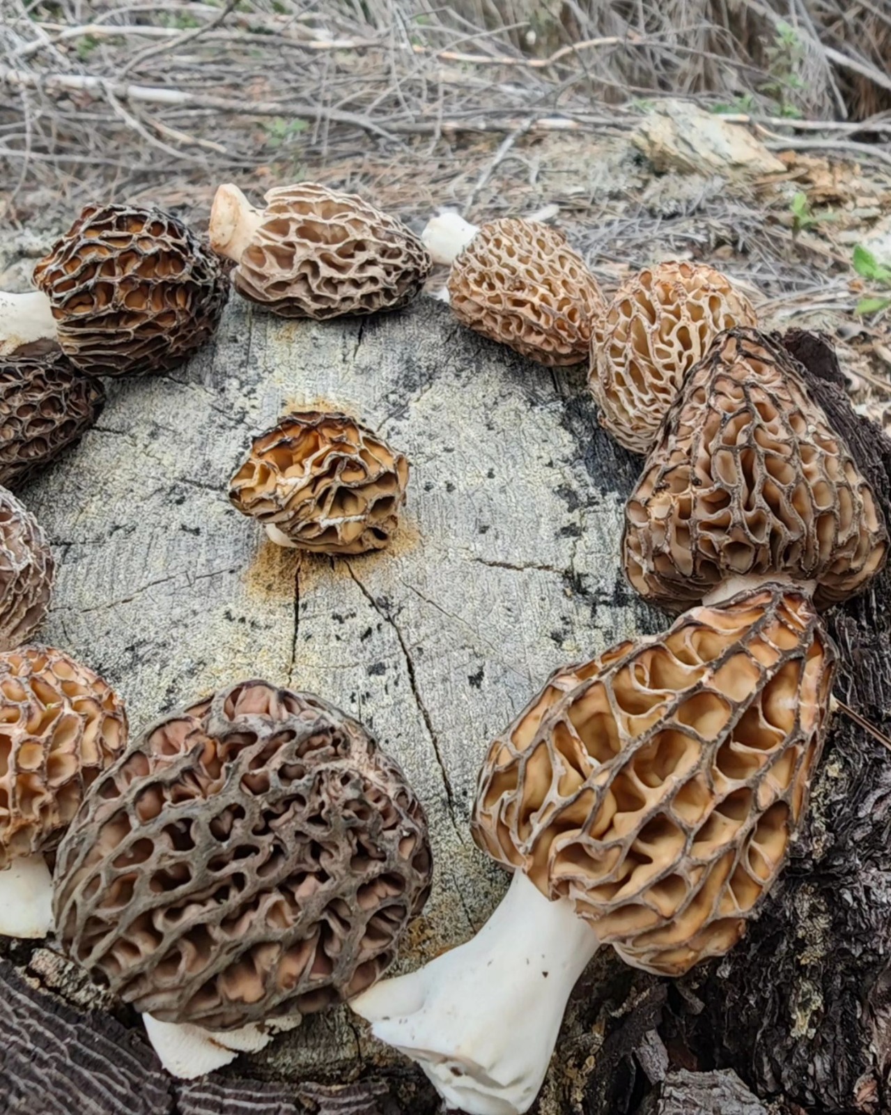 I M G 20260219 W A0066