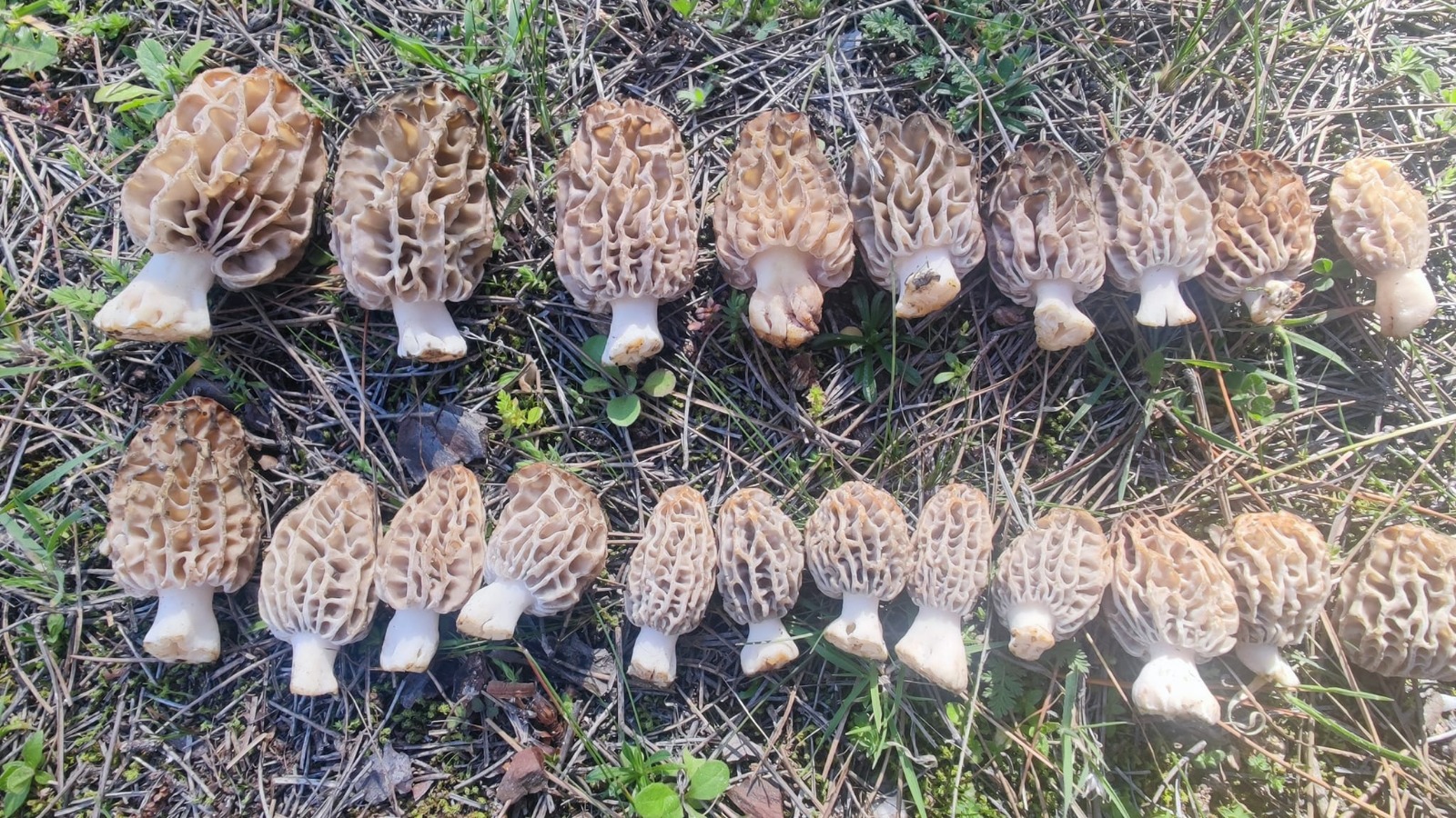 I M G 20260219 W A0067