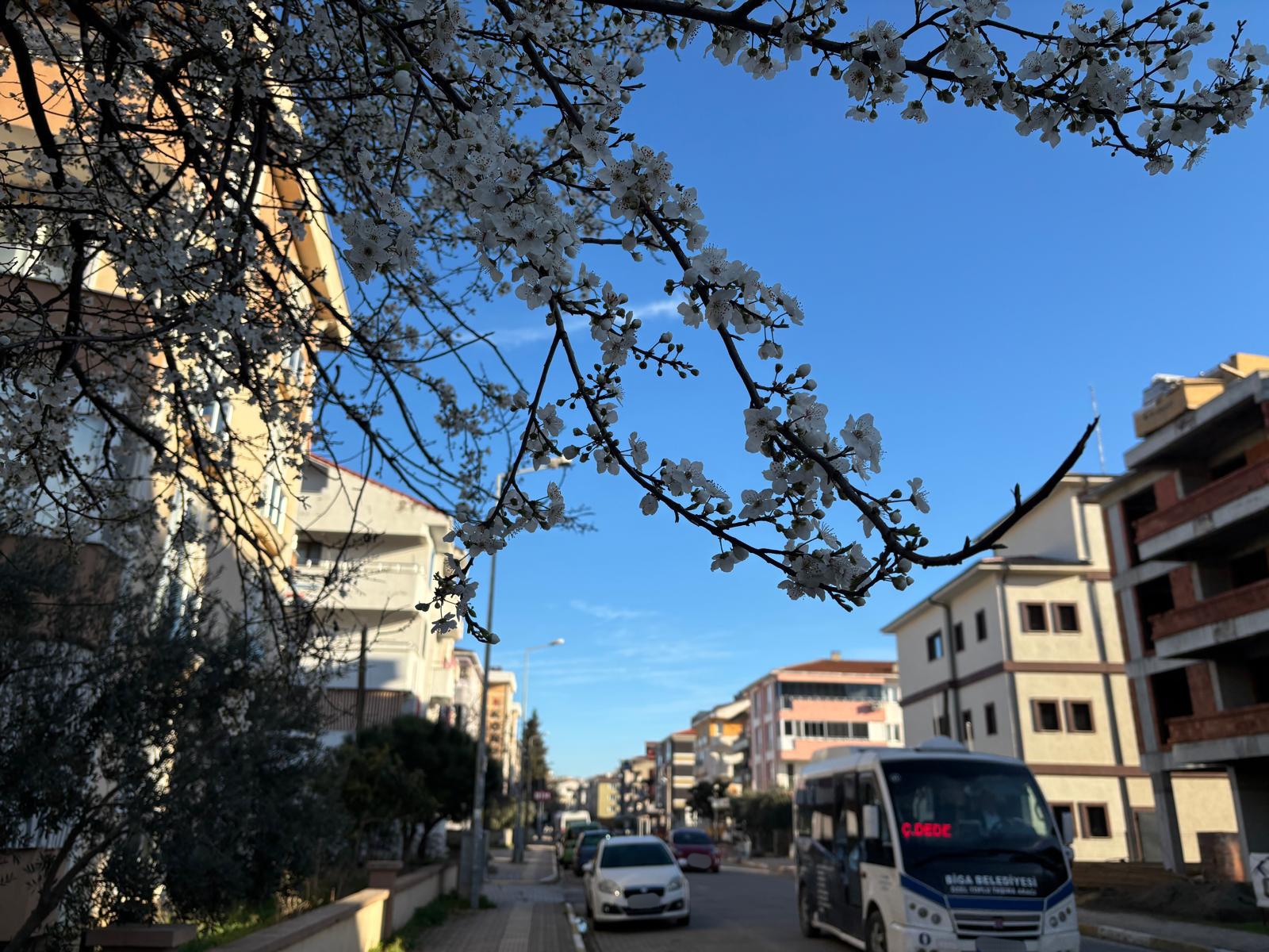 I M G 20260220 103053