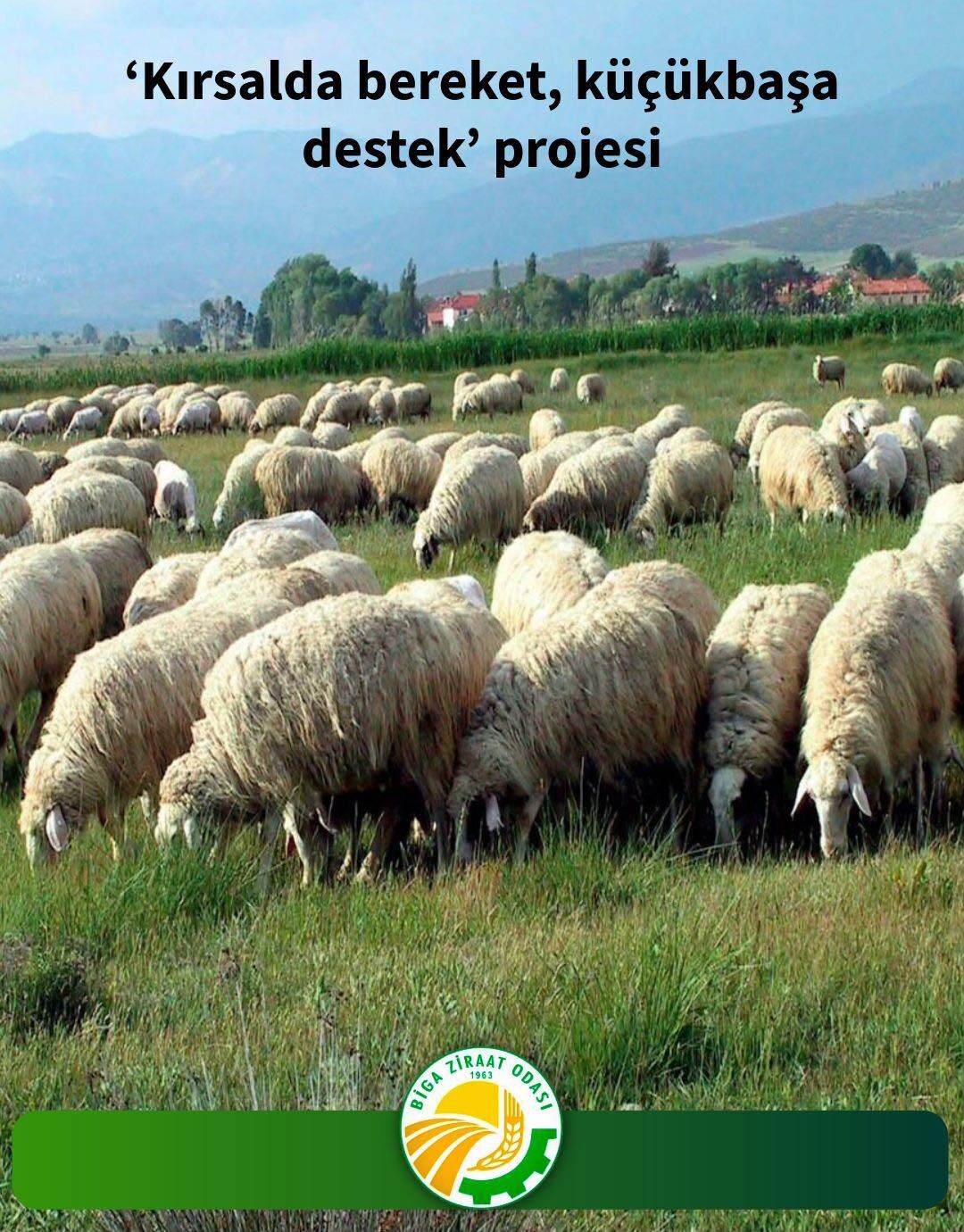 I M G 20260223 W A0087