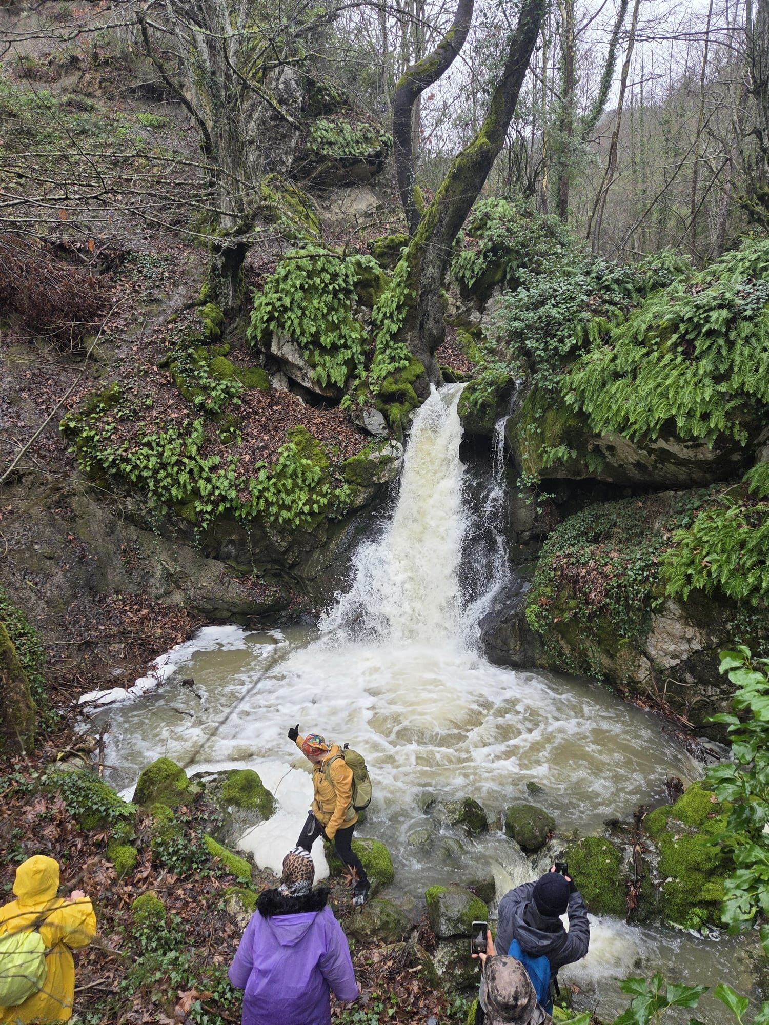 I M G 20260223 W A0100