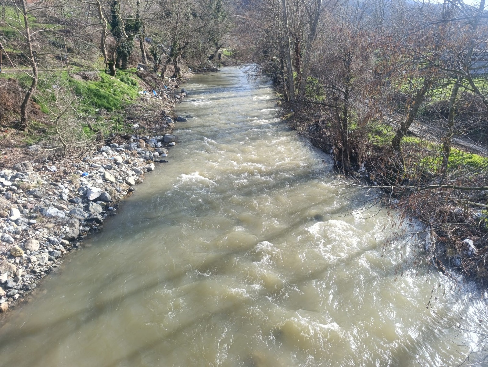 I M G 20260223 W A0148