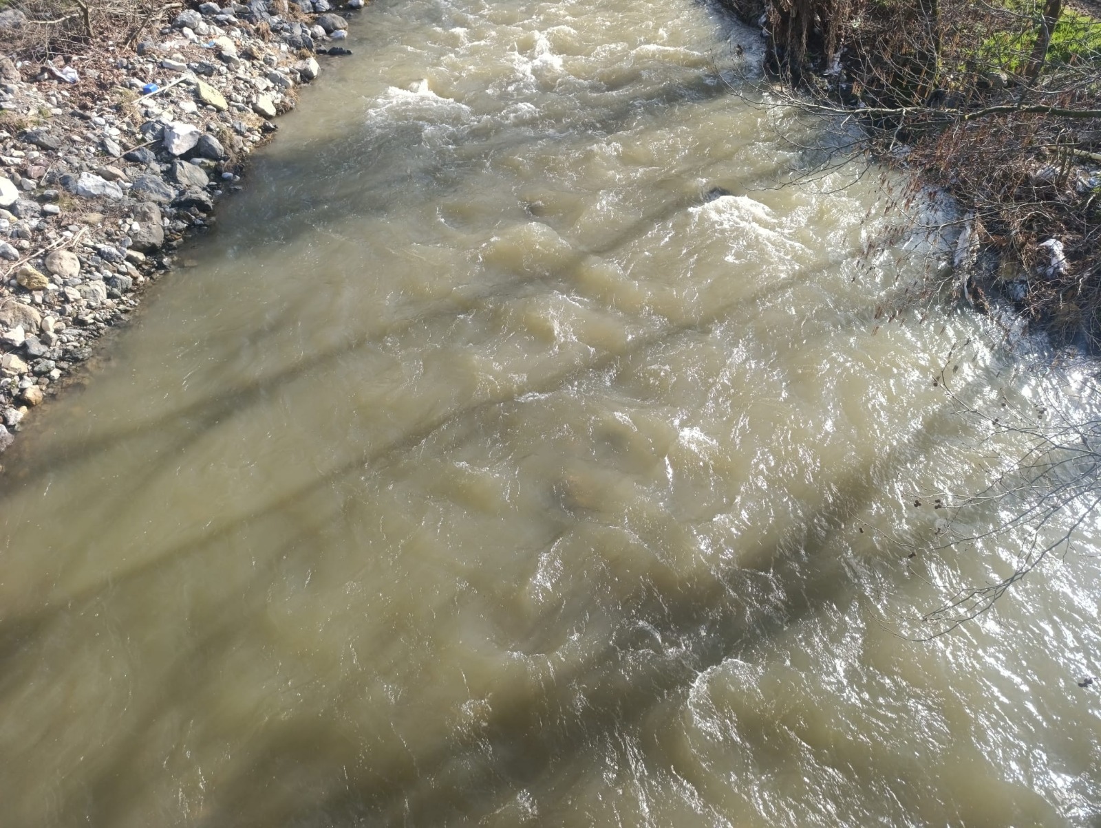 I M G 20260223 W A0149