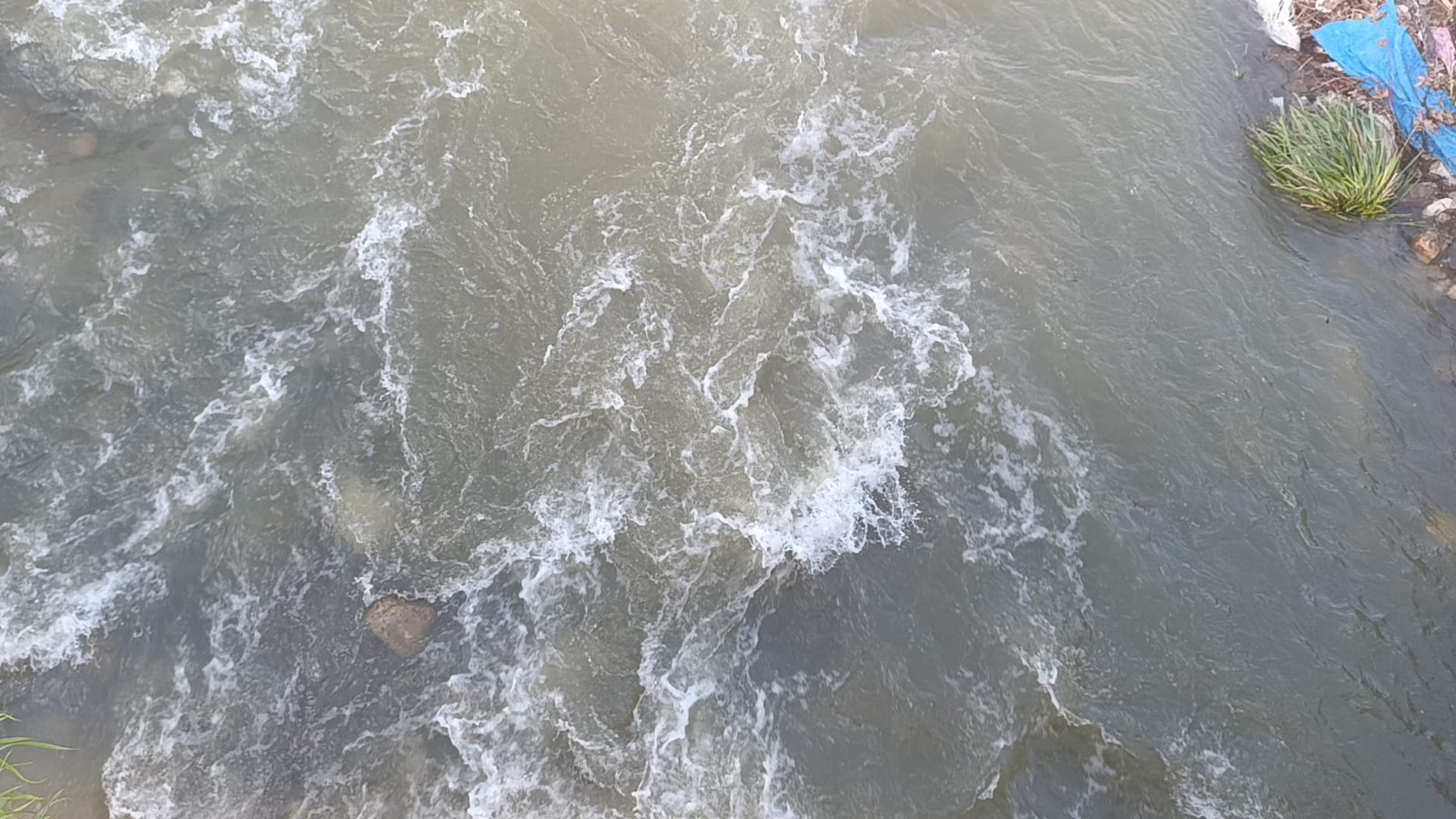 I M G 20260223 W A0150