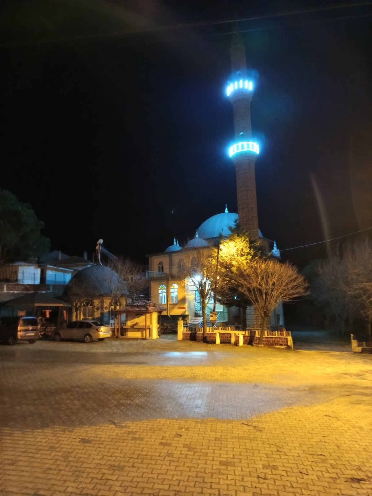 I M G 20260224 W A0020