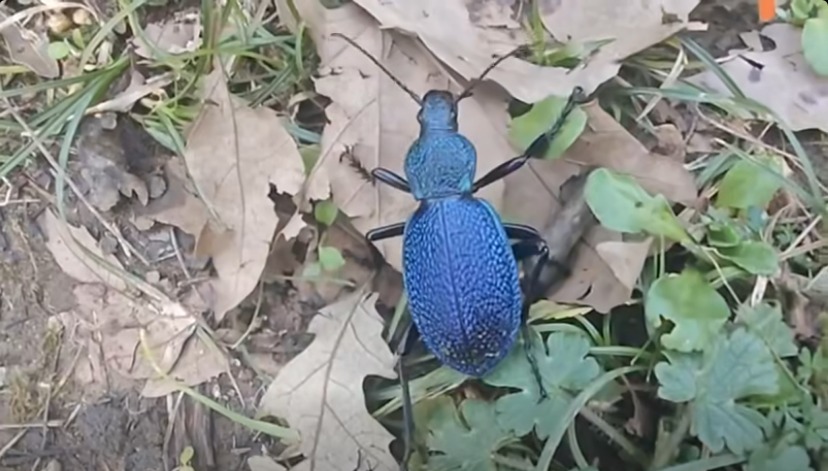 I M G 20260224 W A0025(1)