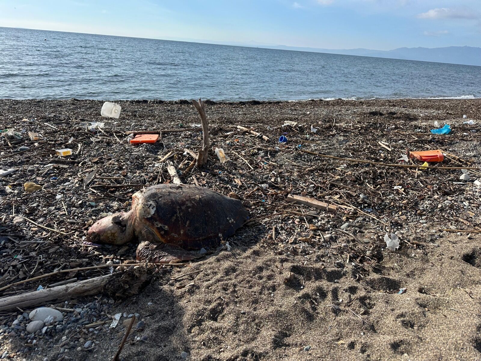 I M G 20260224 W A0085