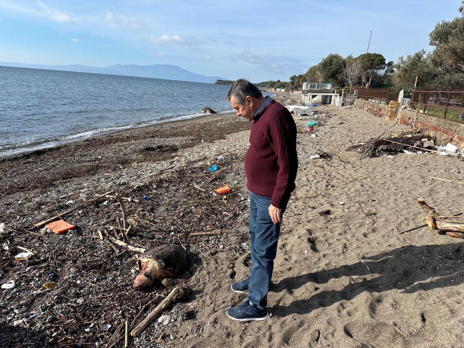 I M G 20260224 W A0086(1)