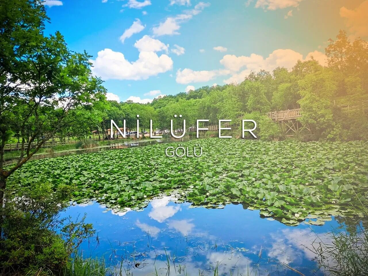 I M G 20260225 W A0059