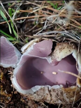 I M G 20260225 W A0065