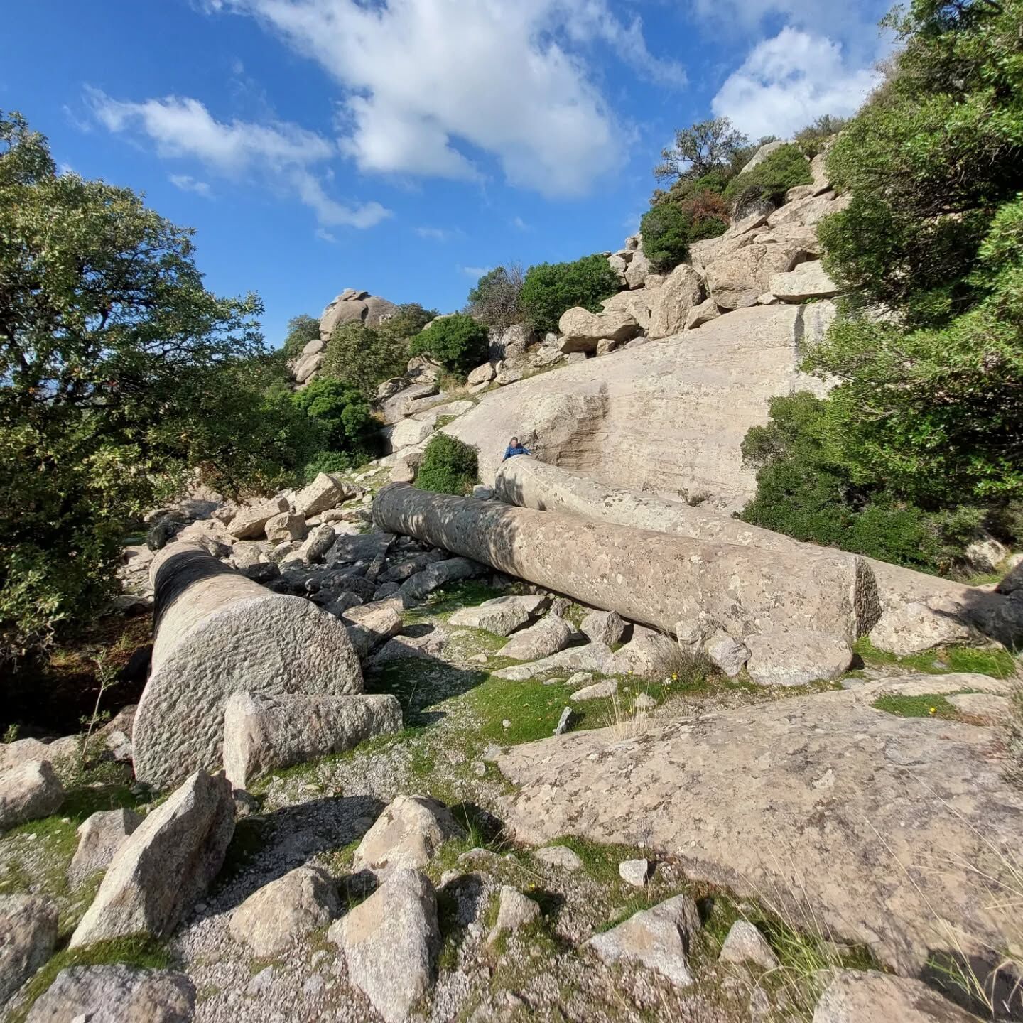 I M G 20260227 W A0039