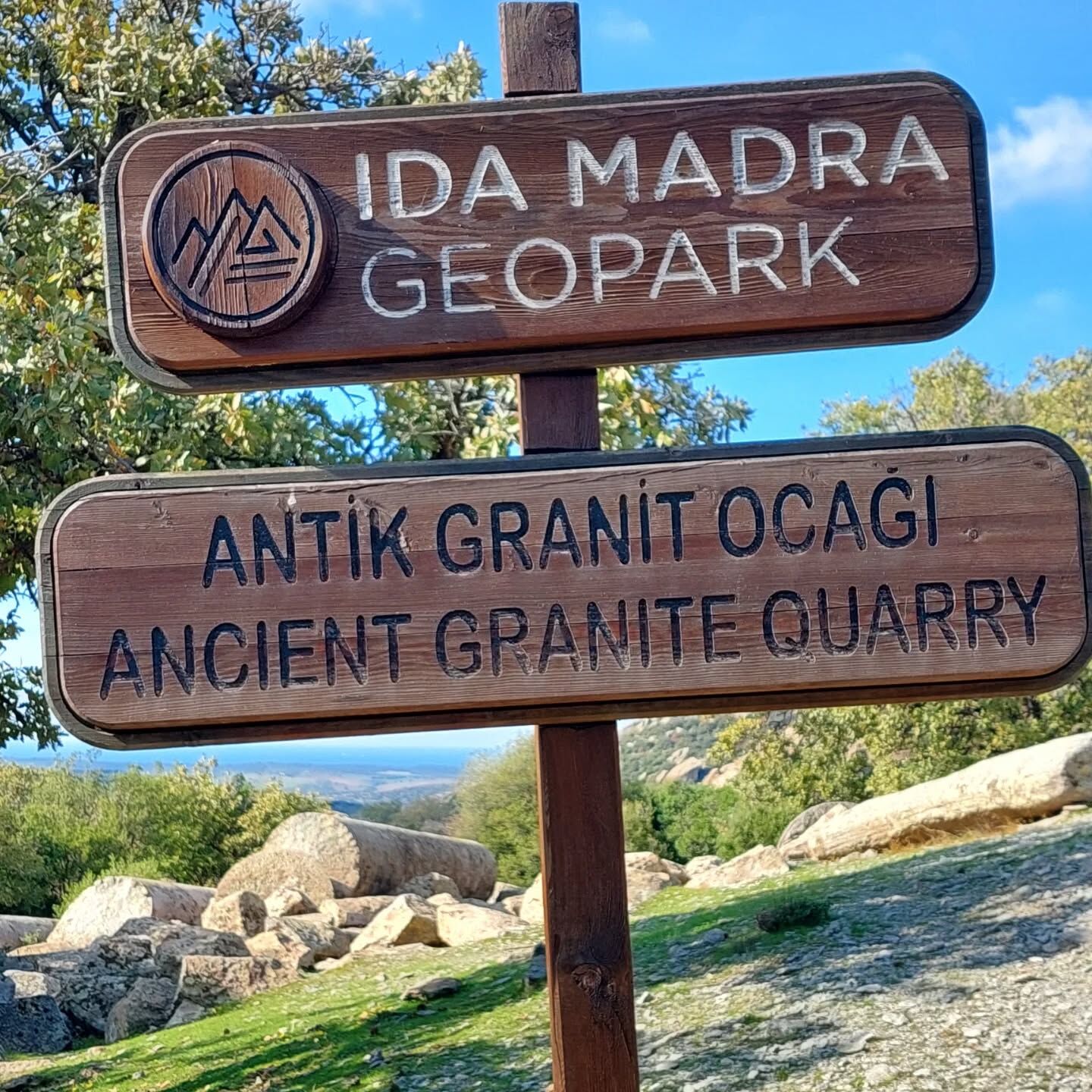 I M G 20260227 W A0040