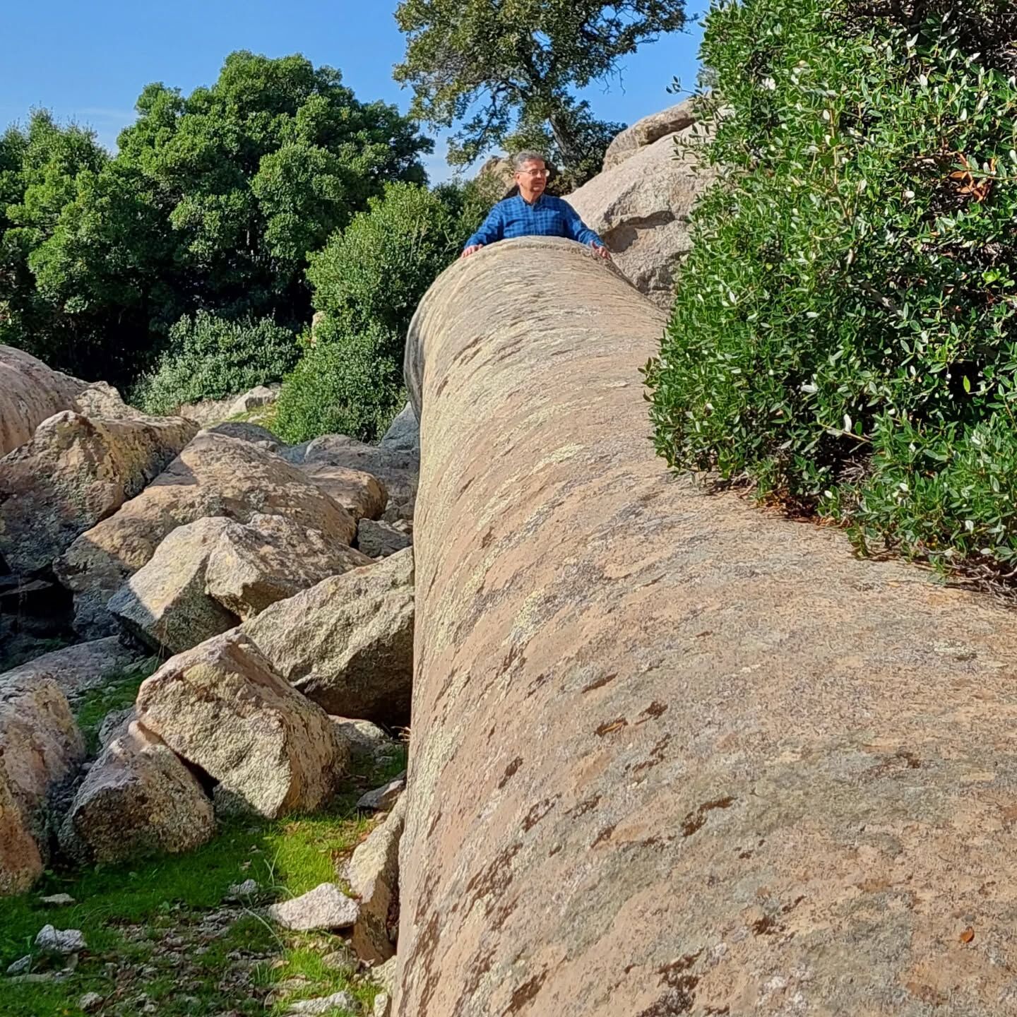 I M G 20260227 W A0041