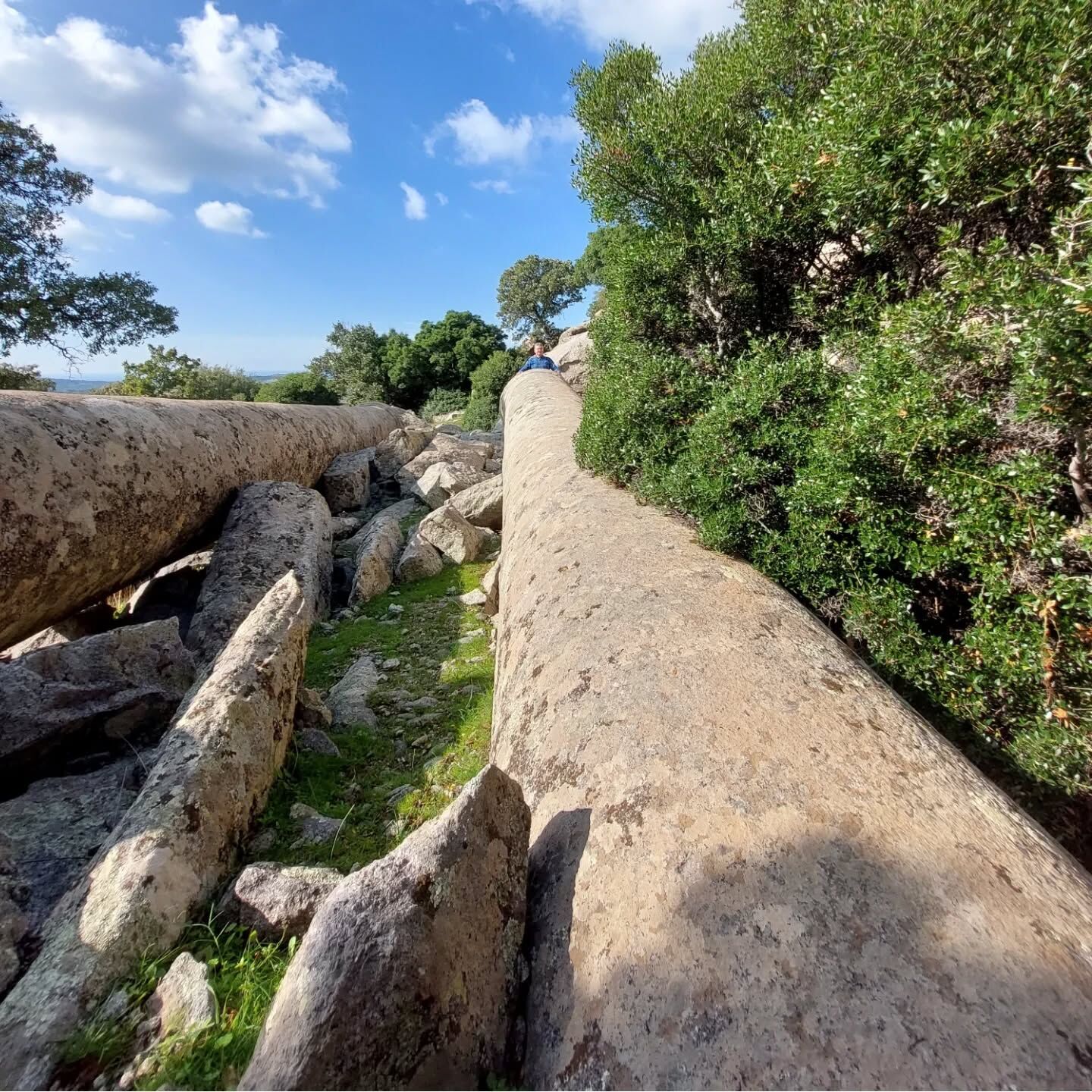 I M G 20260227 W A0042