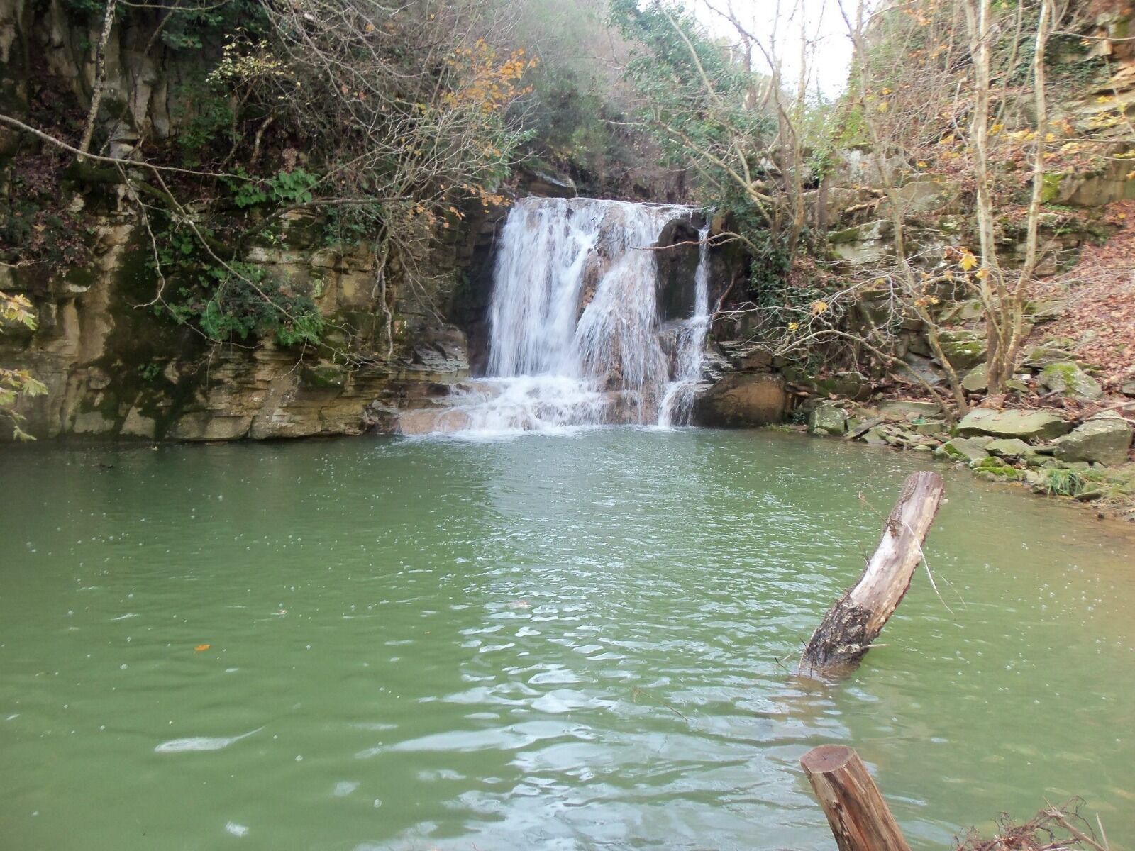 I M G 20260227 W A0055