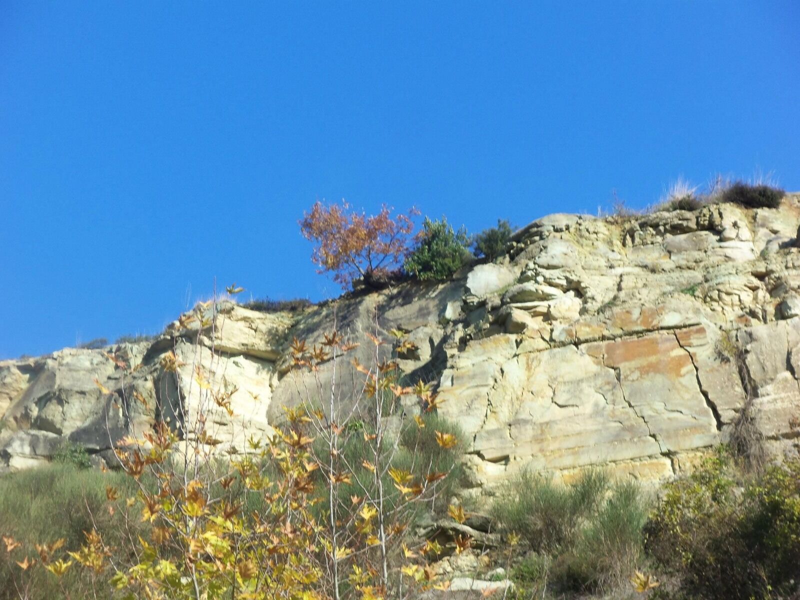 I M G 20260227 W A0056