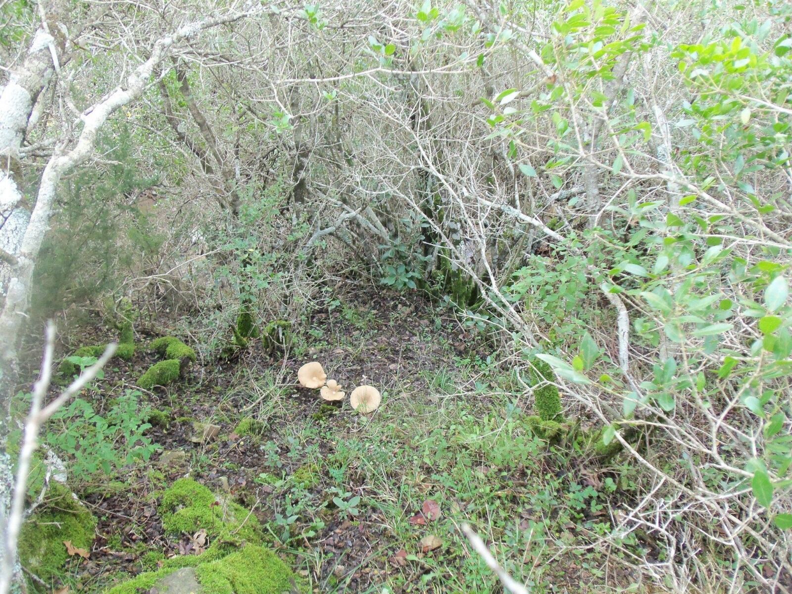 I M G 20260227 W A0057