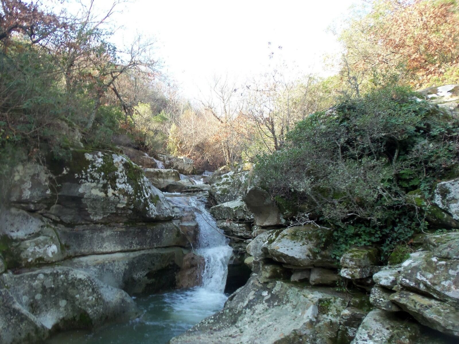 I M G 20260227 W A0058