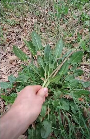 I M G 20260227 W A0067