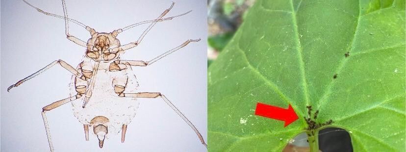 I M G 20260227 W A0087