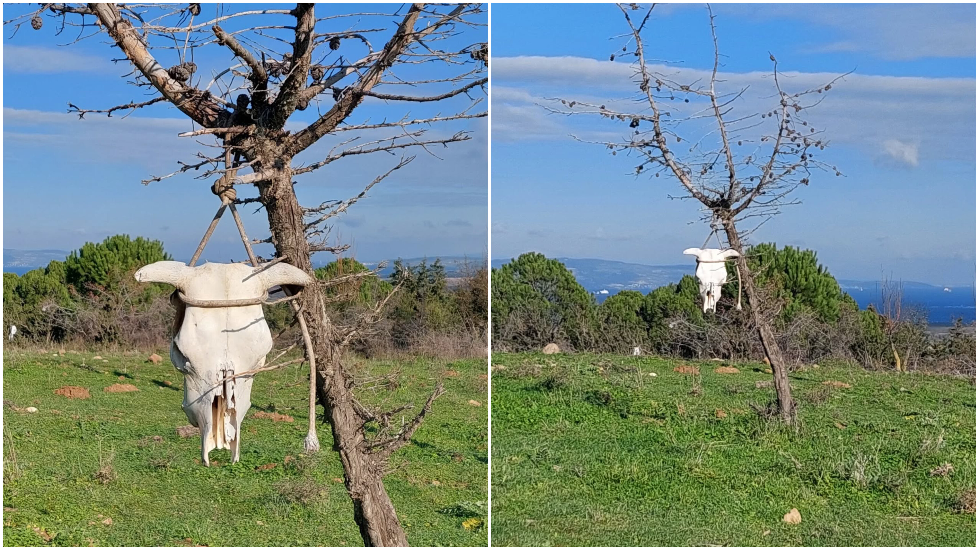 In Shot 20260210 115553444