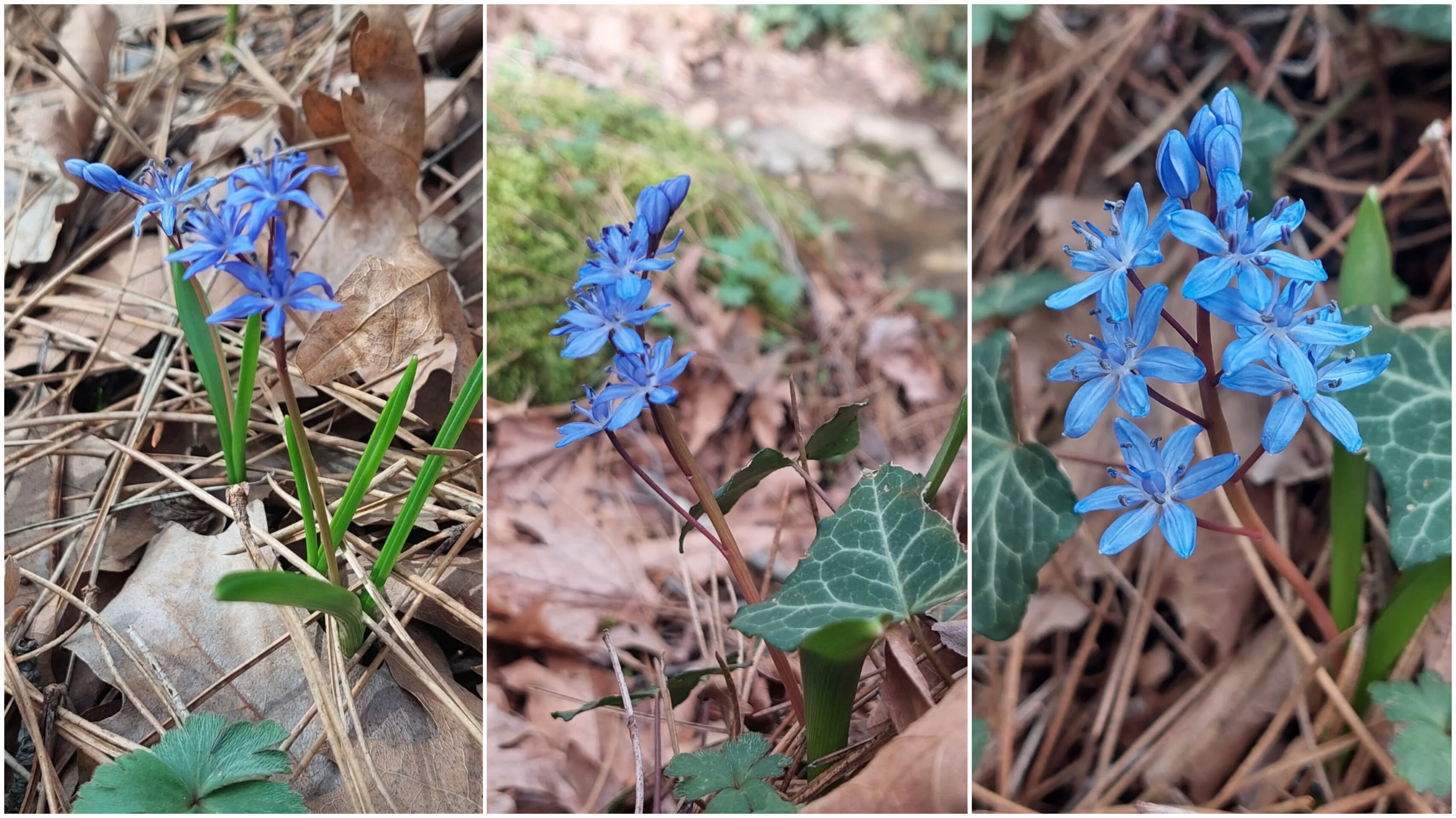 In Shot 20260217 155202717