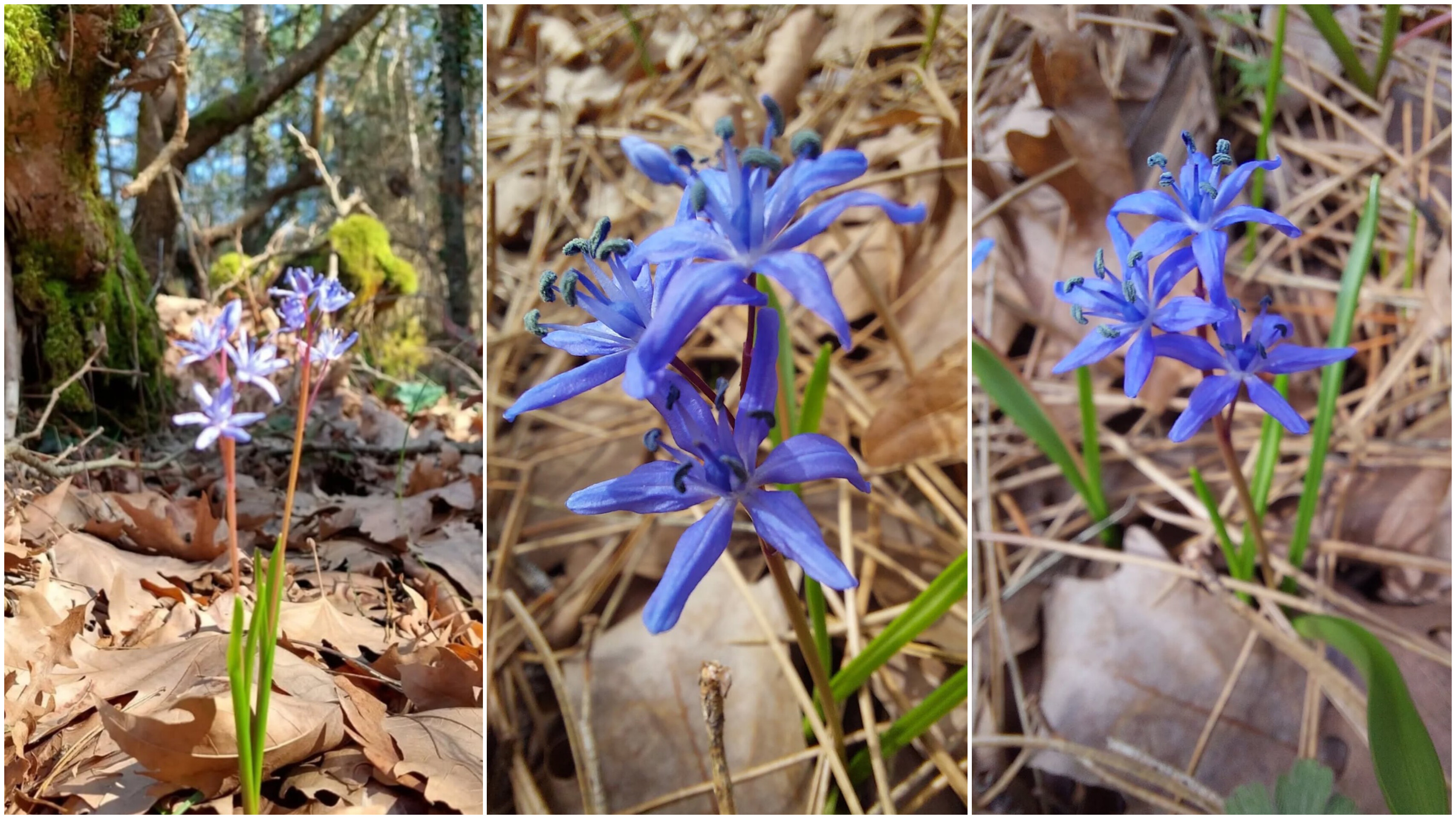 In Shot 20260217 155213602