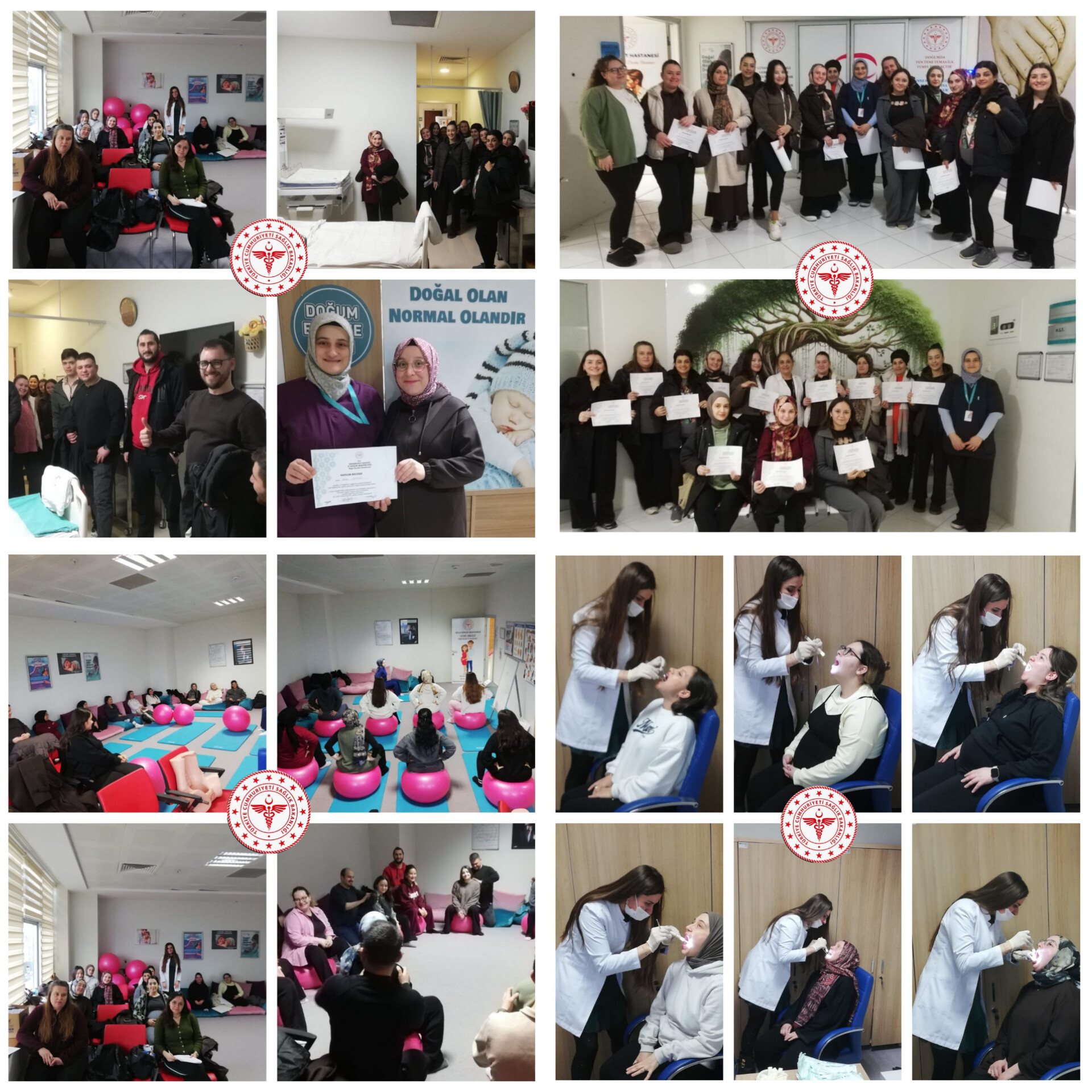 In Shot 20260220 114010181