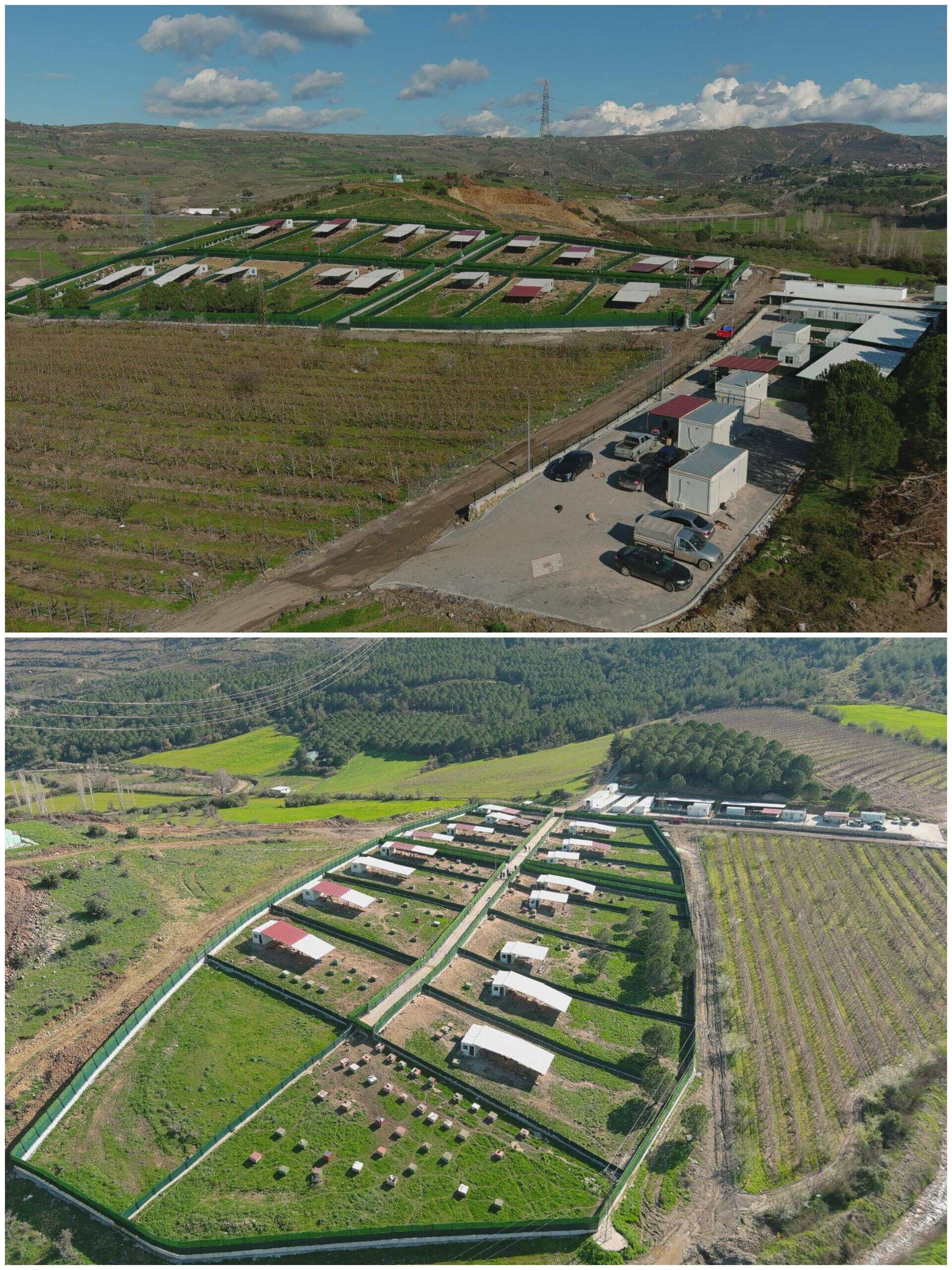 In Shot 20260226 153636581