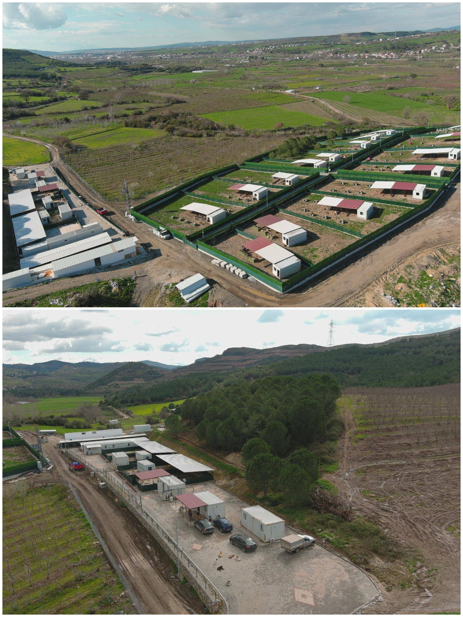 In Shot 20260226 153656730