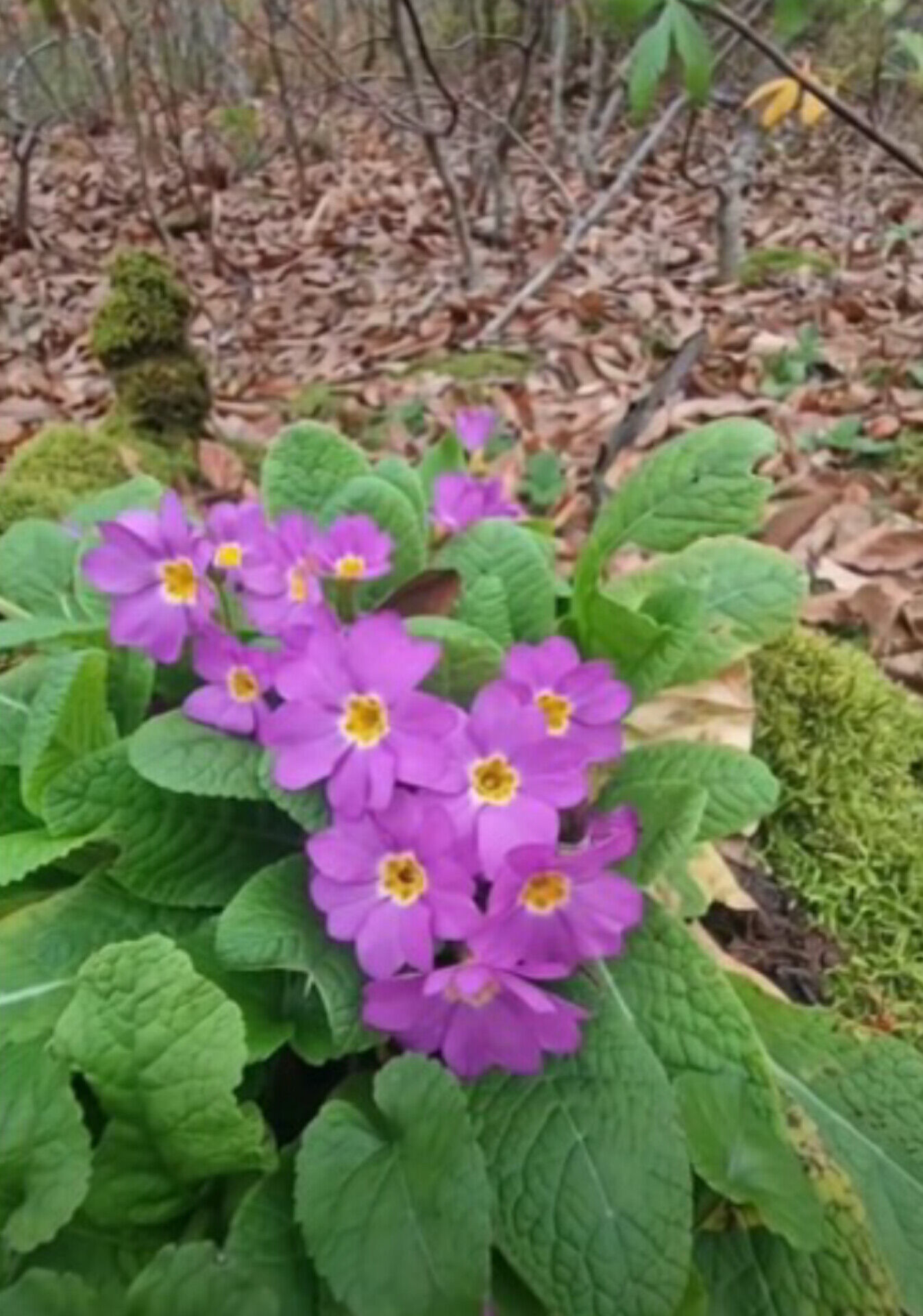 In Shot 20260226 180313356