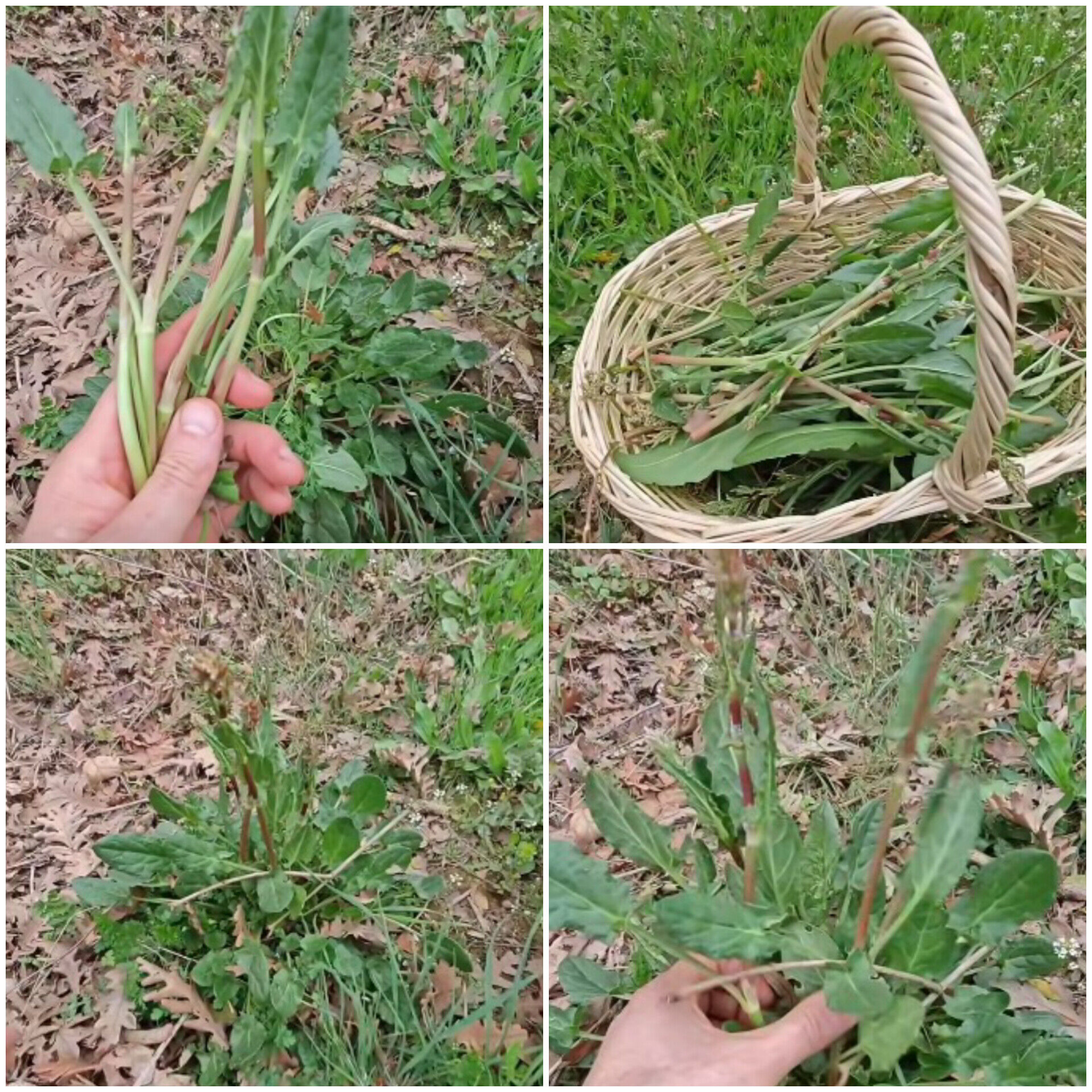 In Shot 20260227 154409012