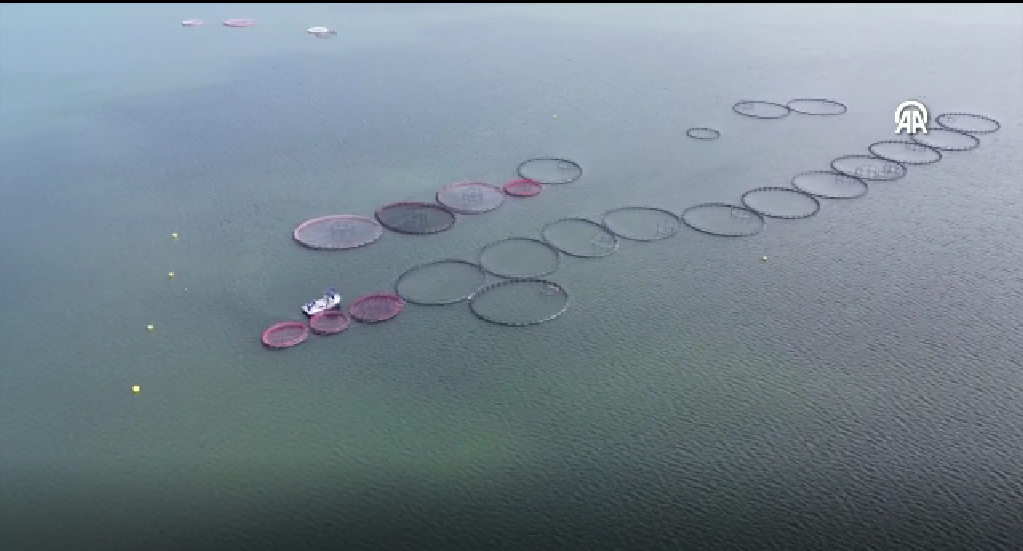 Çanakkale Üzerinden Dünya Sofralarına!