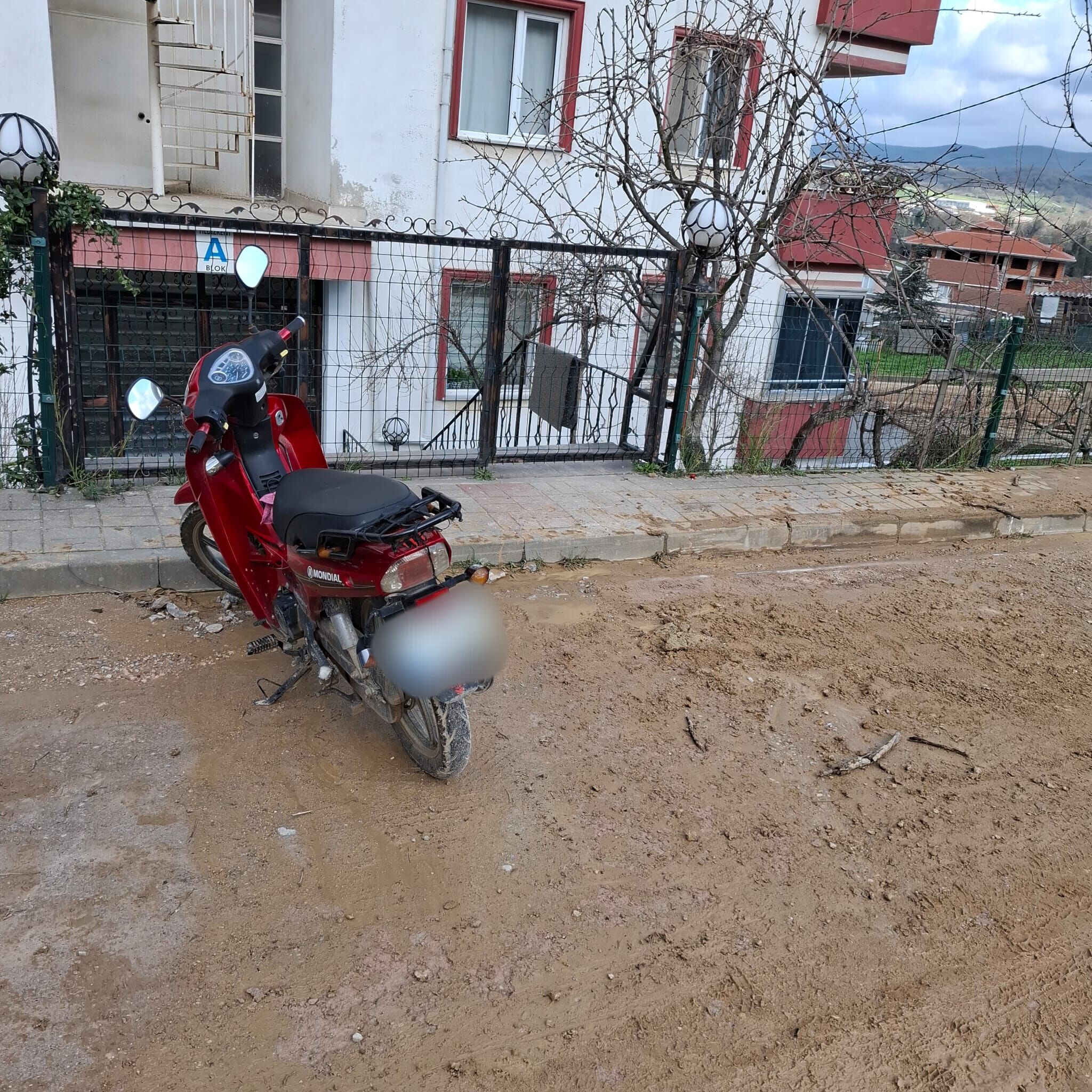 I M G 20260302 121656