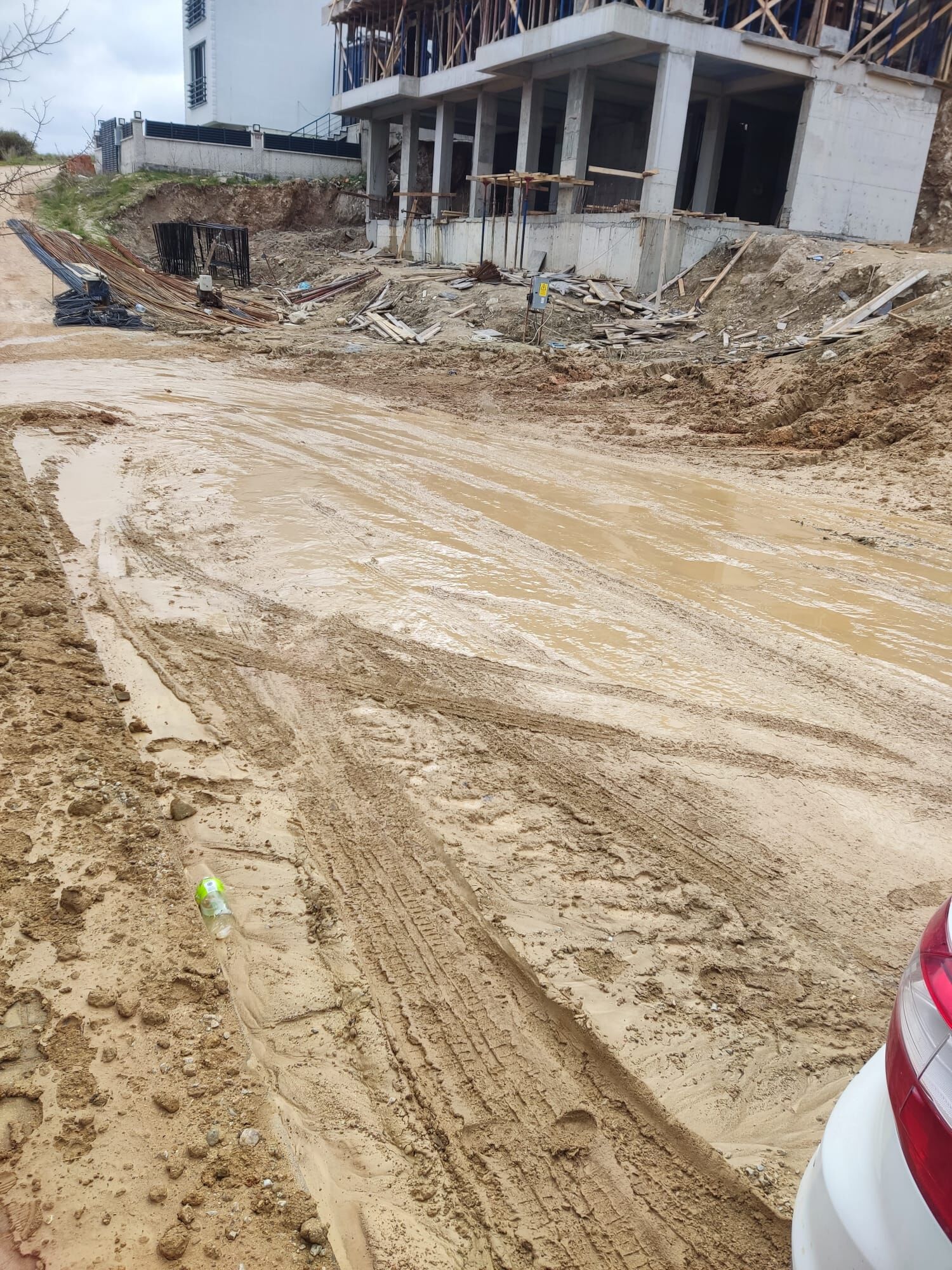 I M G 20260302 W A0030