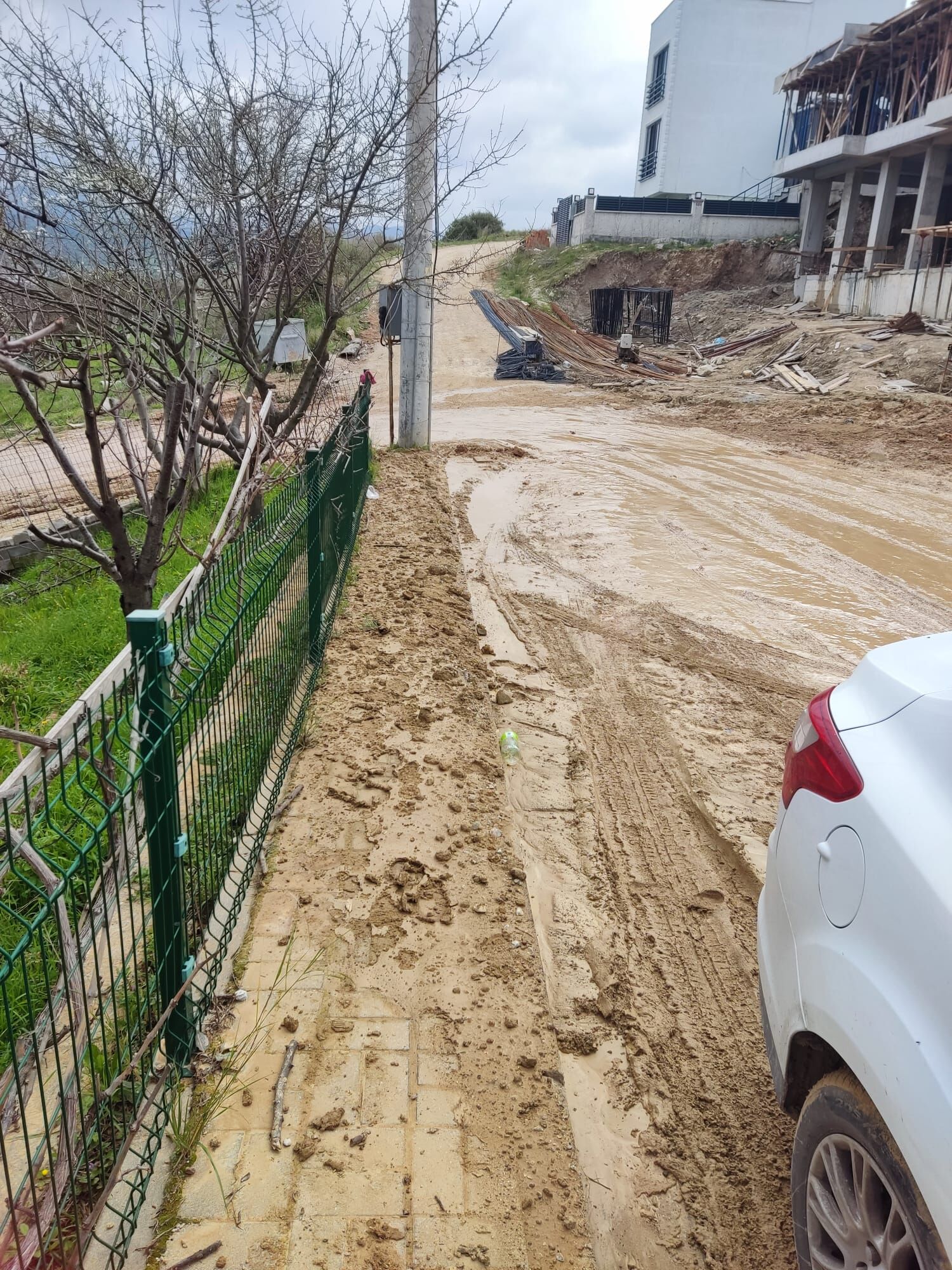 I M G 20260302 W A0031