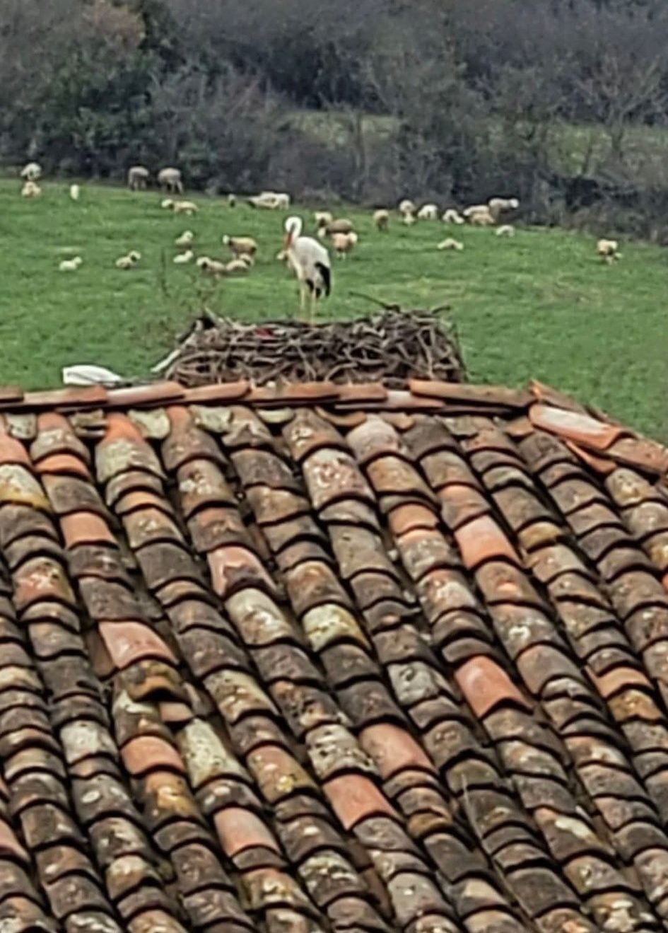 I M G 20260302 W A0048