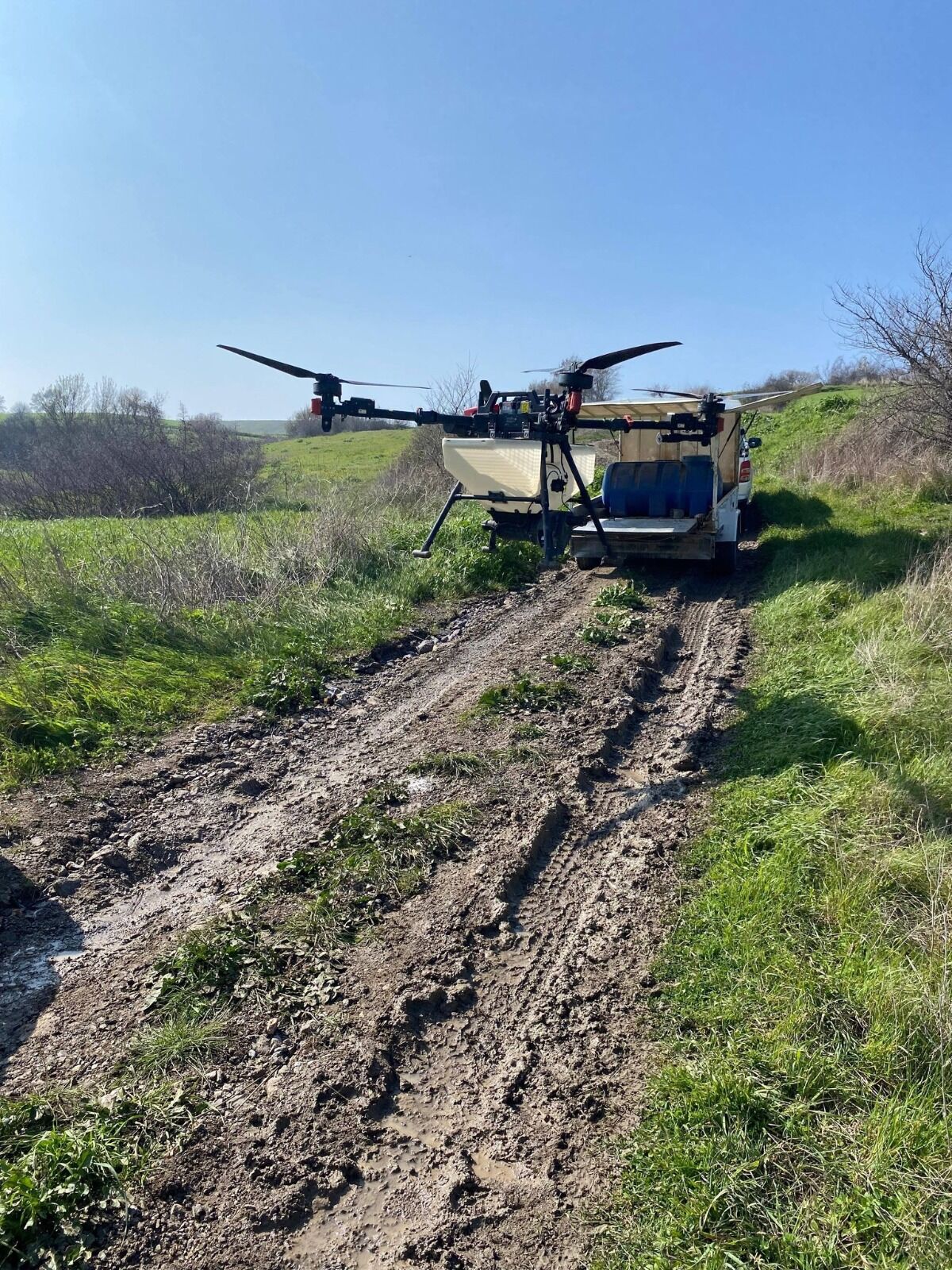 I M G 20260303 W A0050